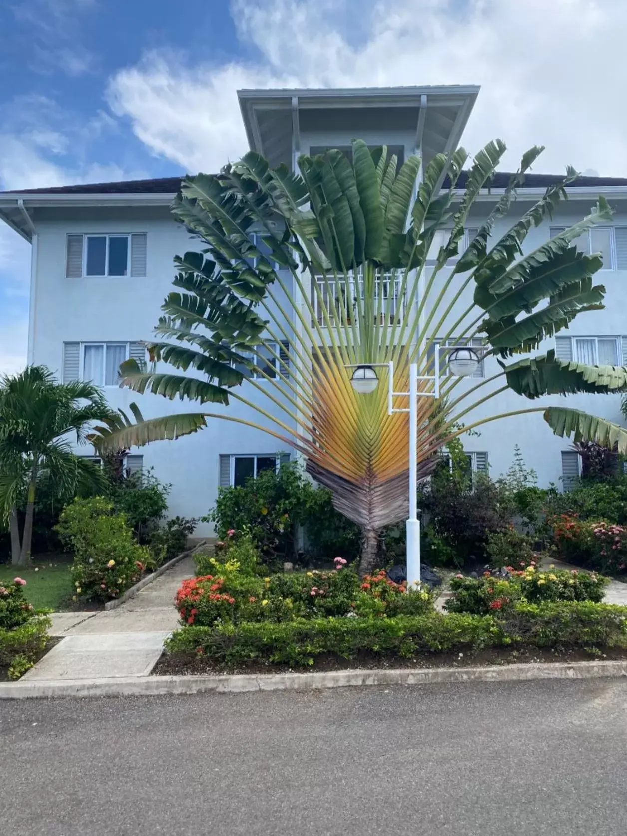 Two-Bedroom Apartment in Jamnick Vacation Rentals - Richmond, St Ann, Jamaica Two-Bedroom Apartment in Jamnick Vacation Rentals - Richmond, St Ann, Jamaica