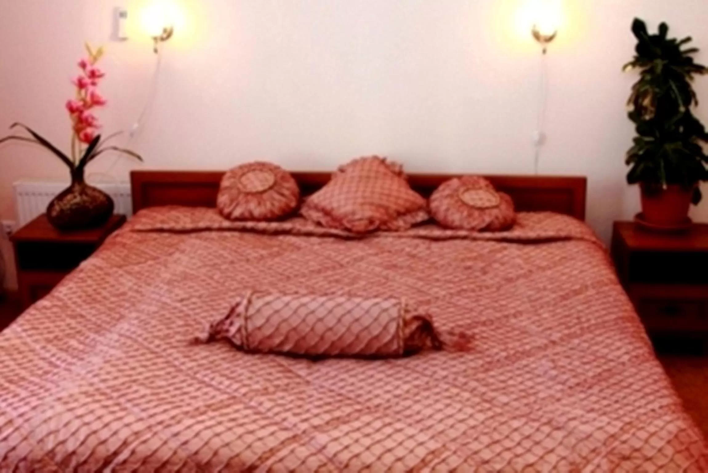 Decorative detail, Bed in Edem Hotel