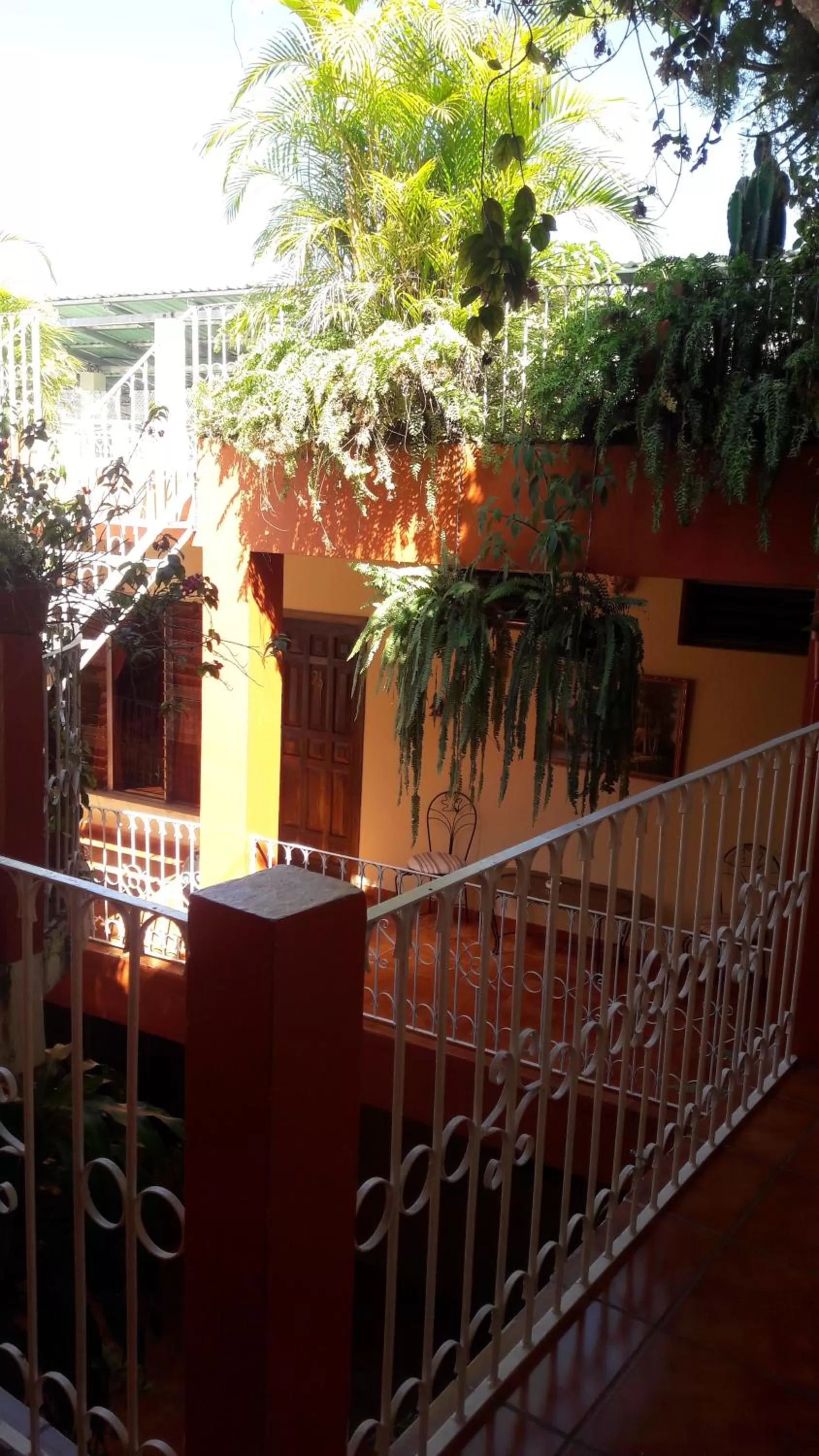Area and facilities in Hotel Brisas de Copan