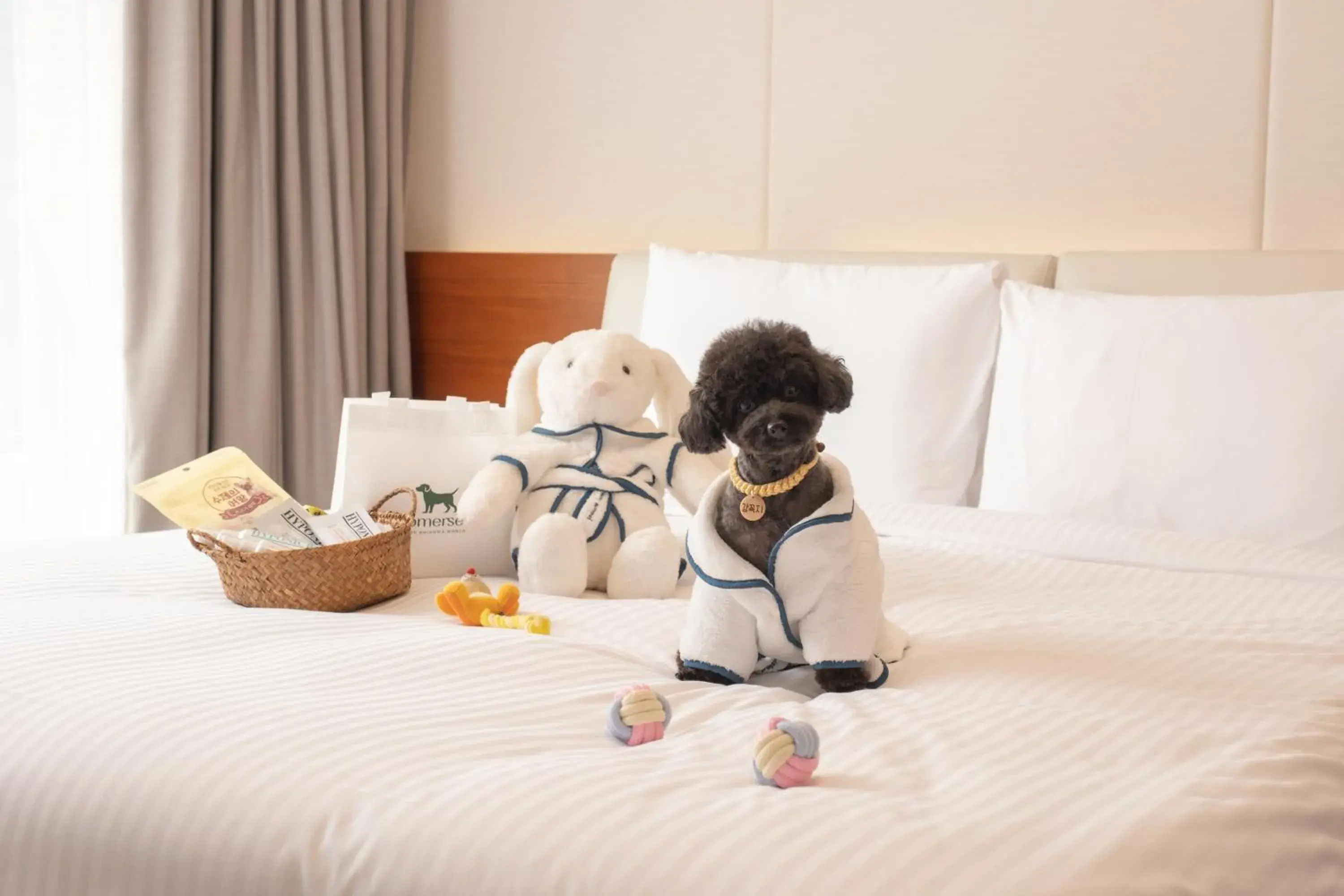 Pet Friendly Room in Somerset Jeju Shinhwa World Pet Friendly Room in Somerset Jeju Shinhwa World