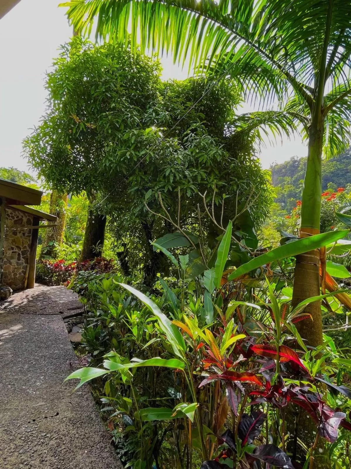 View (from property/room), Garden in Cocoa Cottage