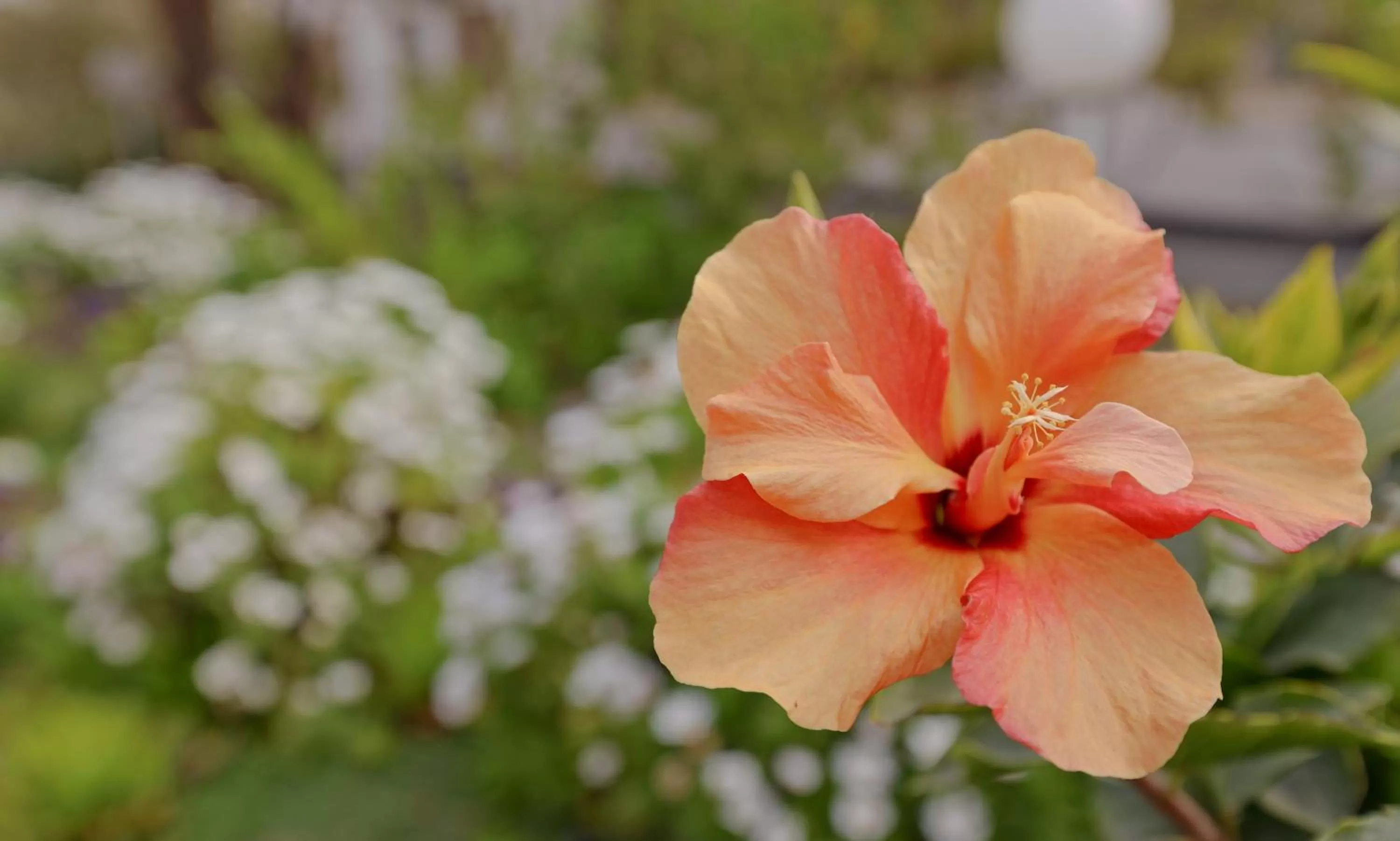 Natural landscape, Garden in Hotel Prinzessin Rupprecht