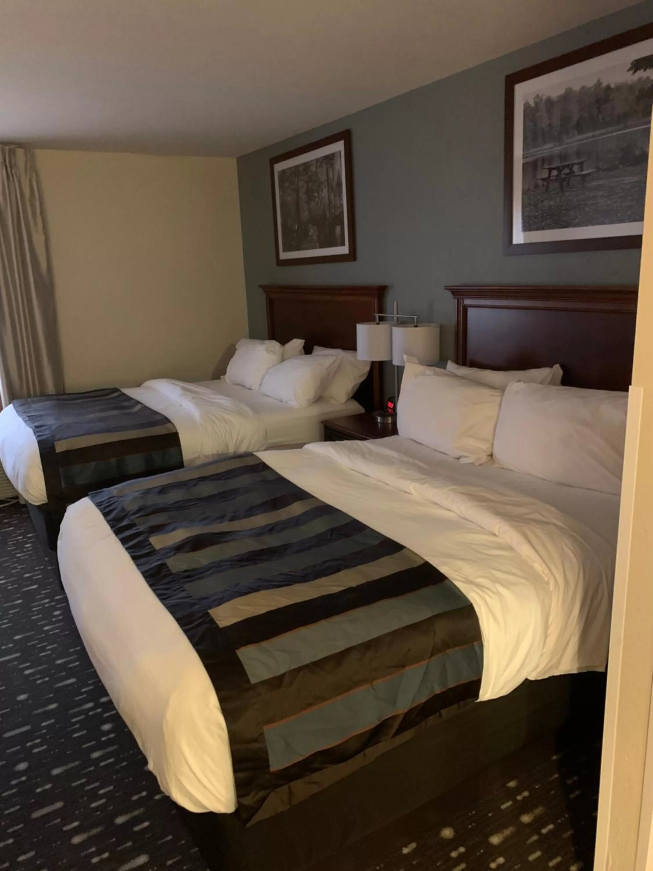 Photo of the whole room, Bed in Wingate by Wyndham Brighton