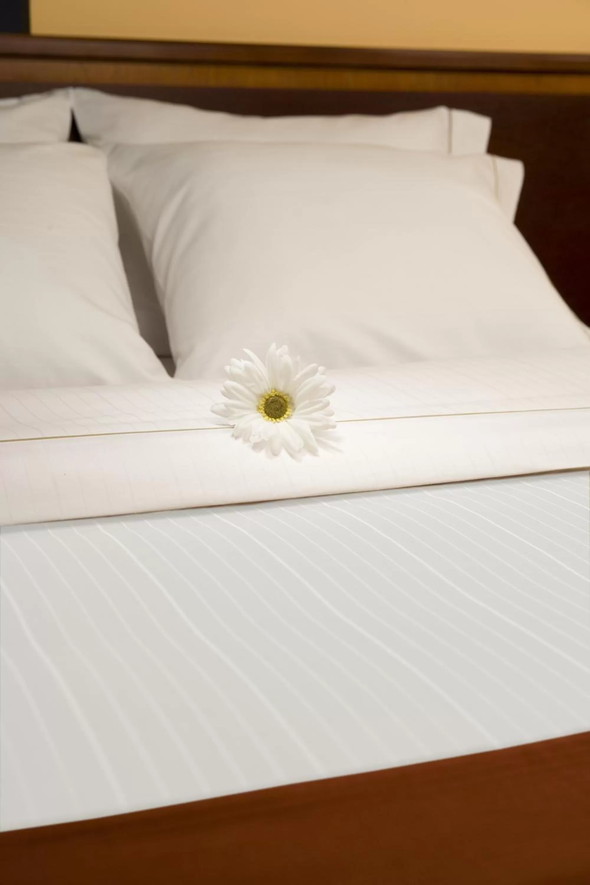 Bed in Holiday Inn Express Pocatello by IHG