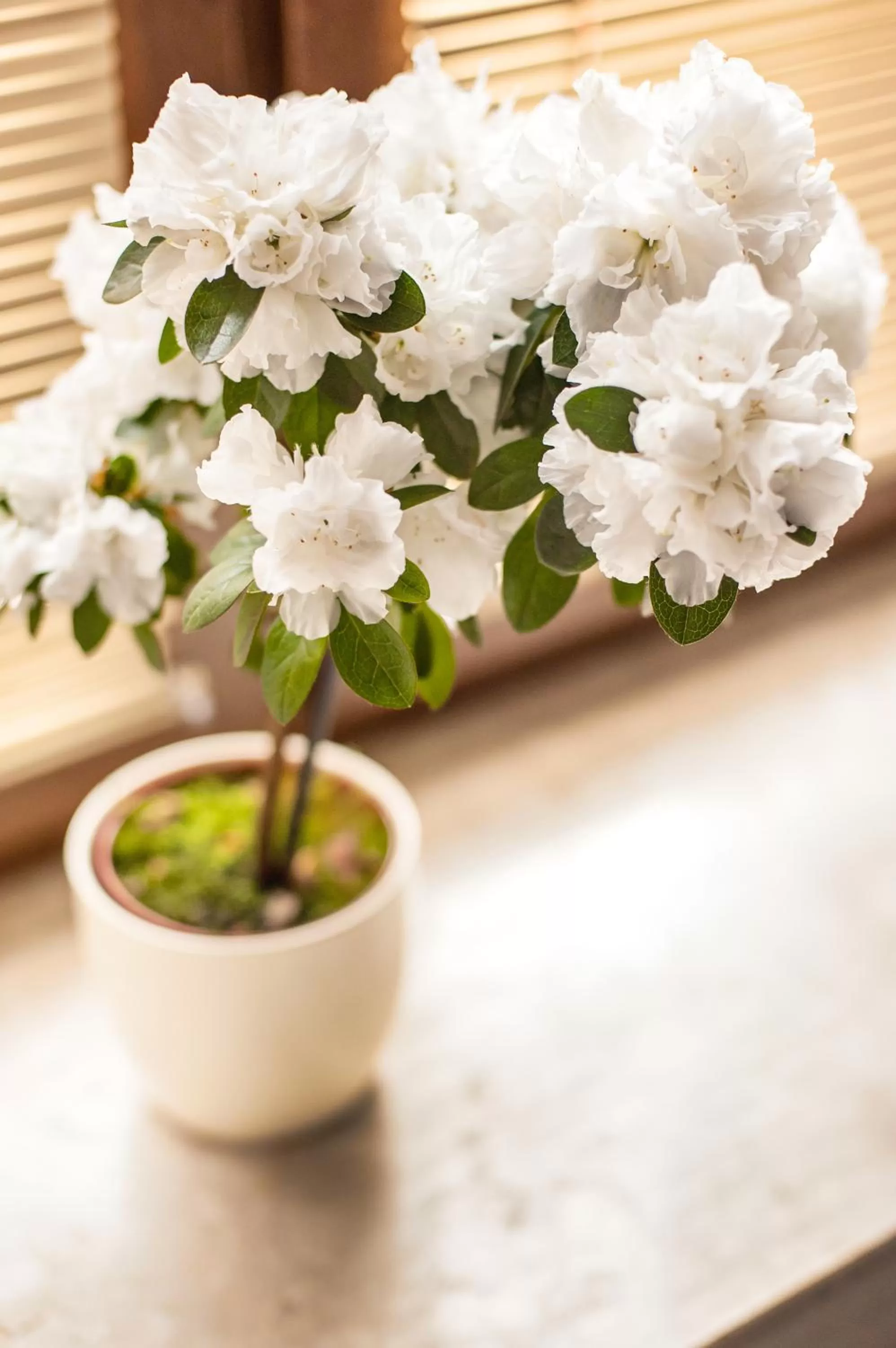 Bathroom in Hotel Willa Adriana