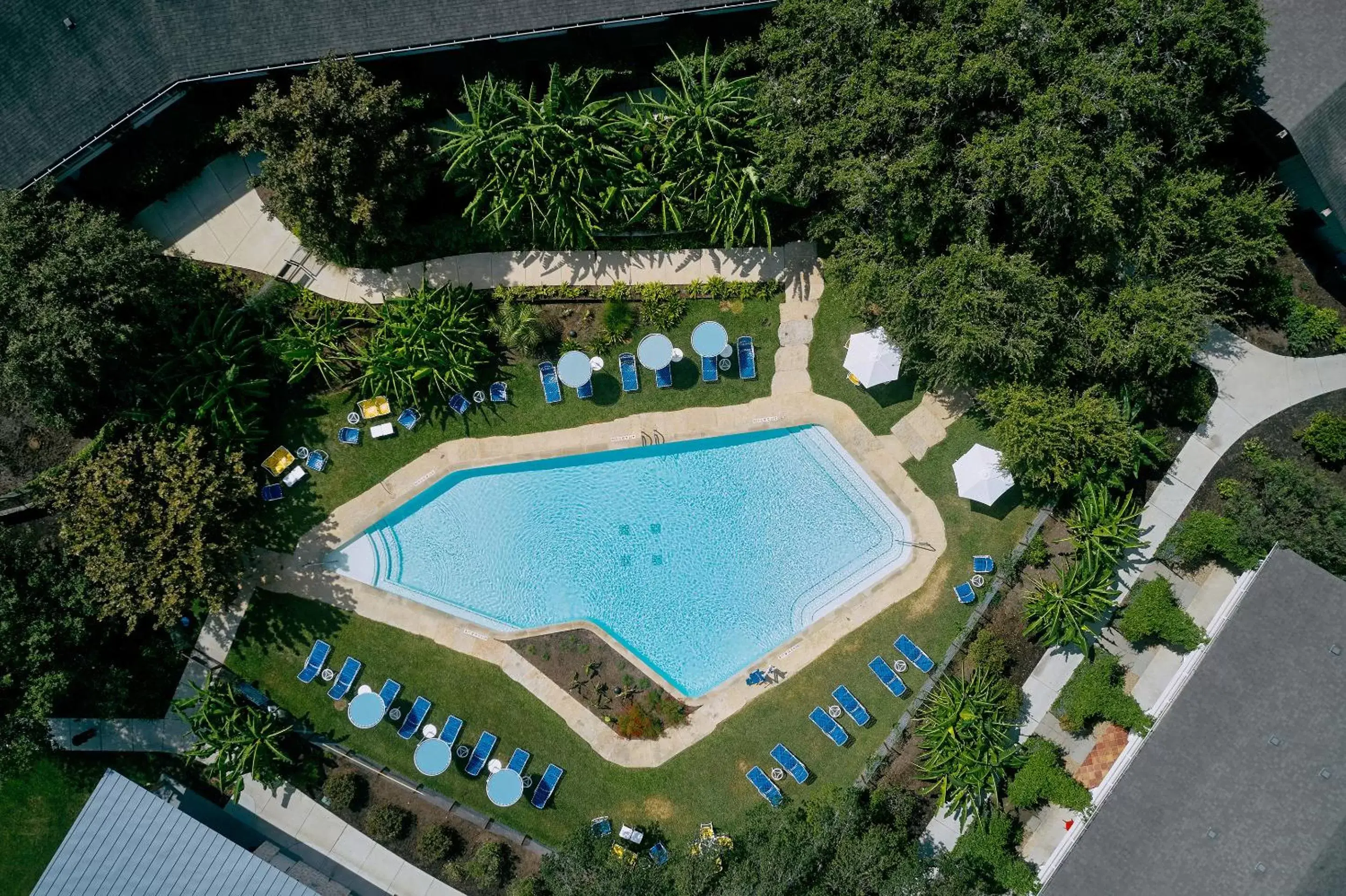 Swimming pool, Pool View in Shady Villa Hotel Swimming pool, Pool View in Shady Villa Hotel