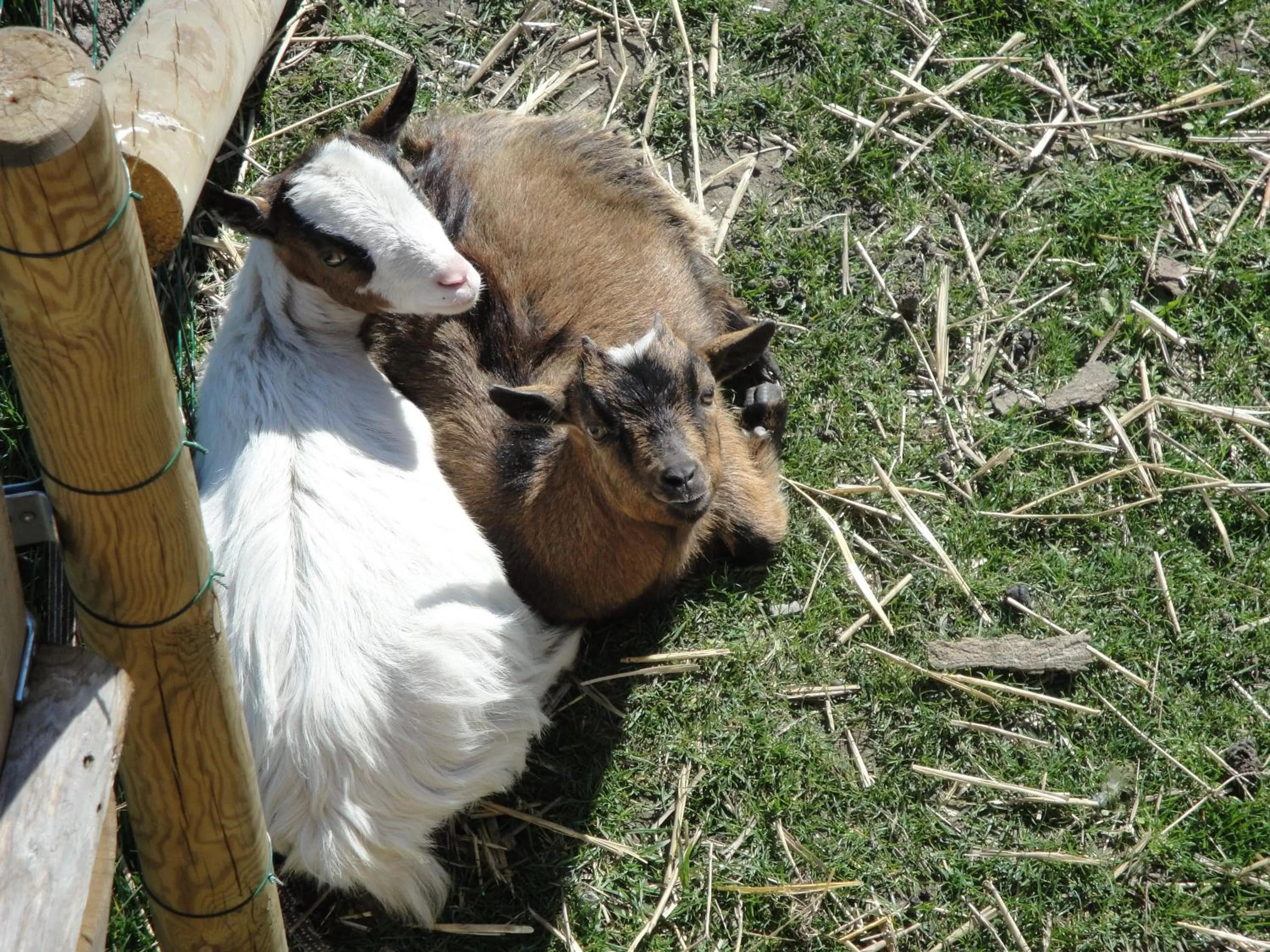 Other in B&B De Zoete Kers