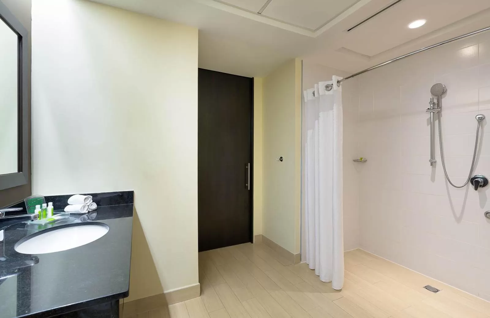 Bathroom in Holiday Inn Panama Distrito Financiero by IHG
