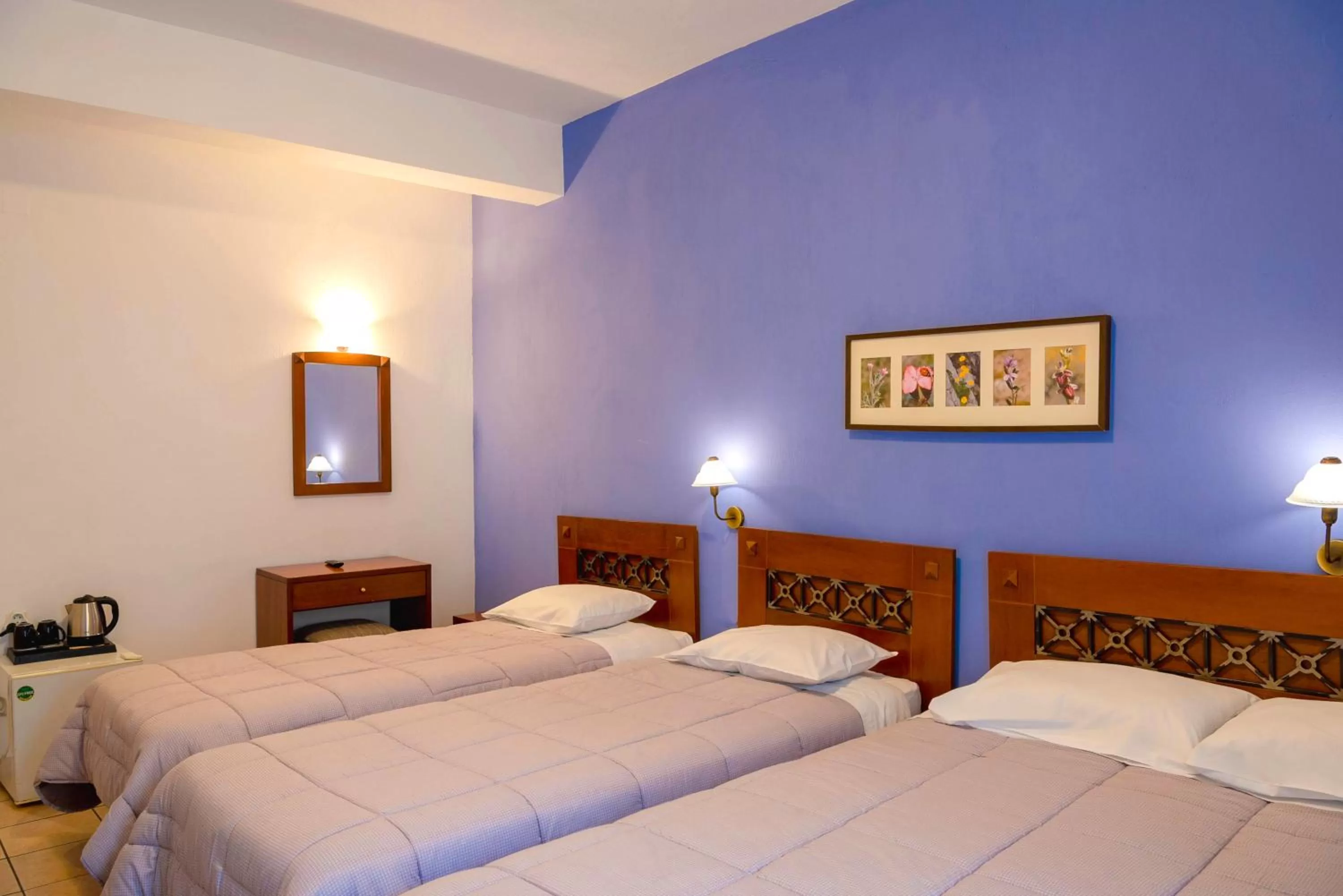 Photo of the whole room, Bed in Artemis Hotel