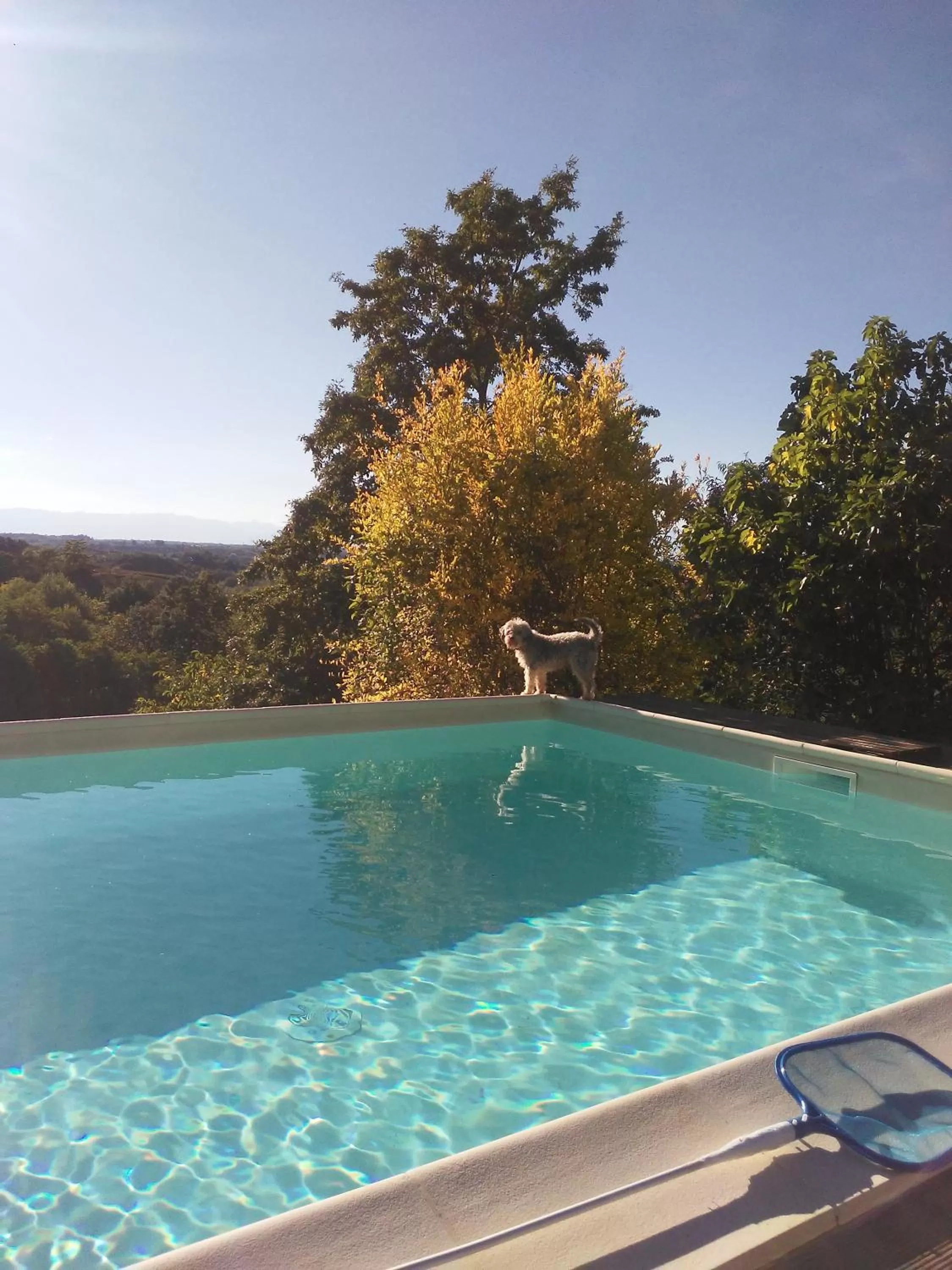 Swimming pool in Cascina Torello