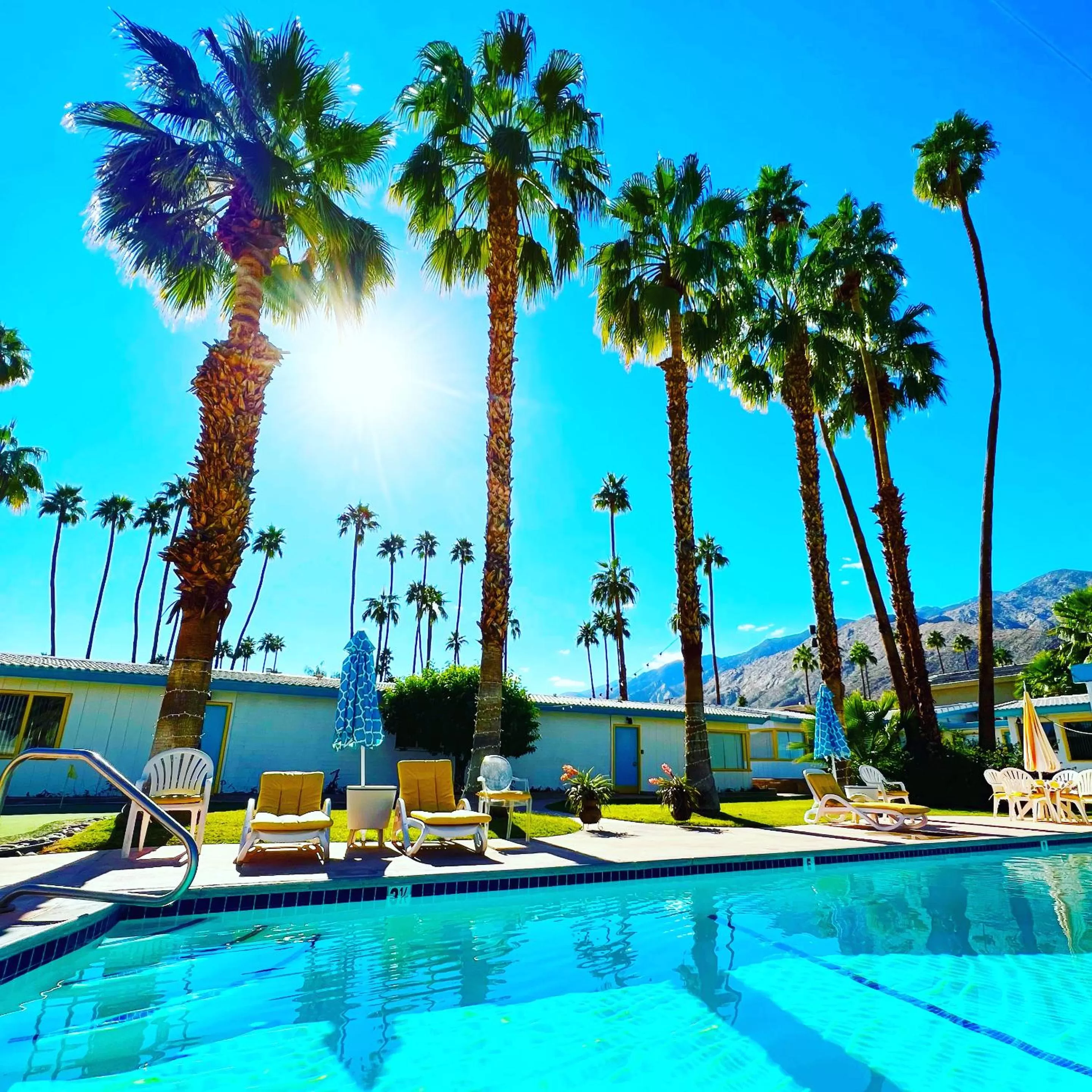 Swimming pool in A PLACE IN THE SUN Hotel - ADULTS ONLY Big Units, 24h Heated Pool & Spa in 1 Acre Park Prime Location, DOG Friendly, TOP Midcentury Modern Boutique Hotel