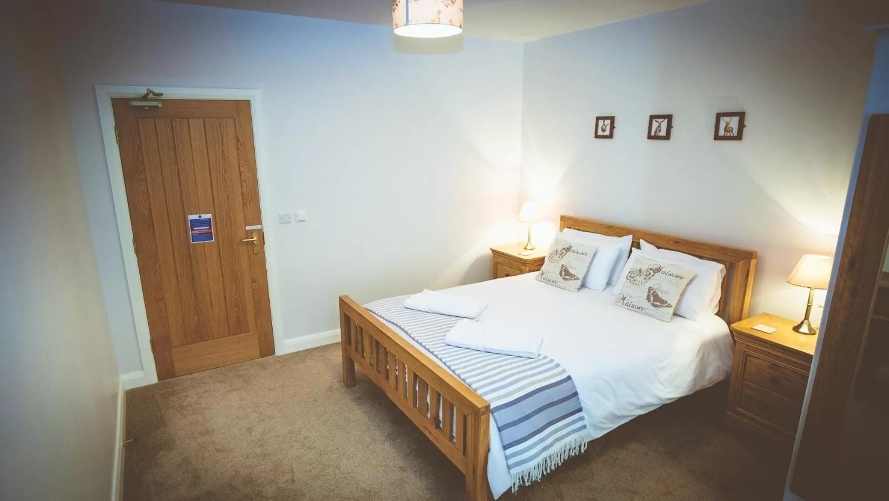 Photo of the whole room, Bed in Coddy's Farm