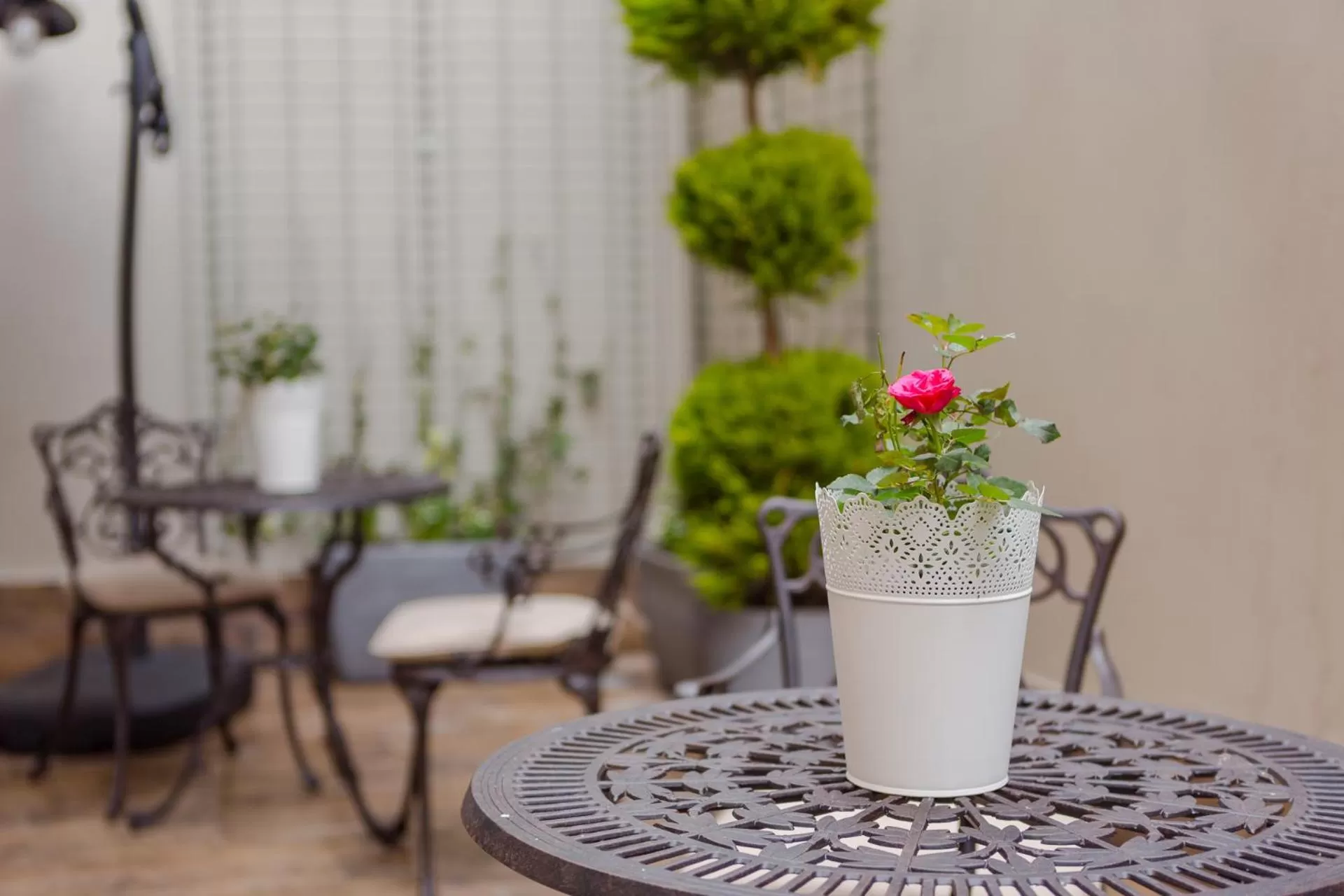 Garden in HOTEL BLOOM