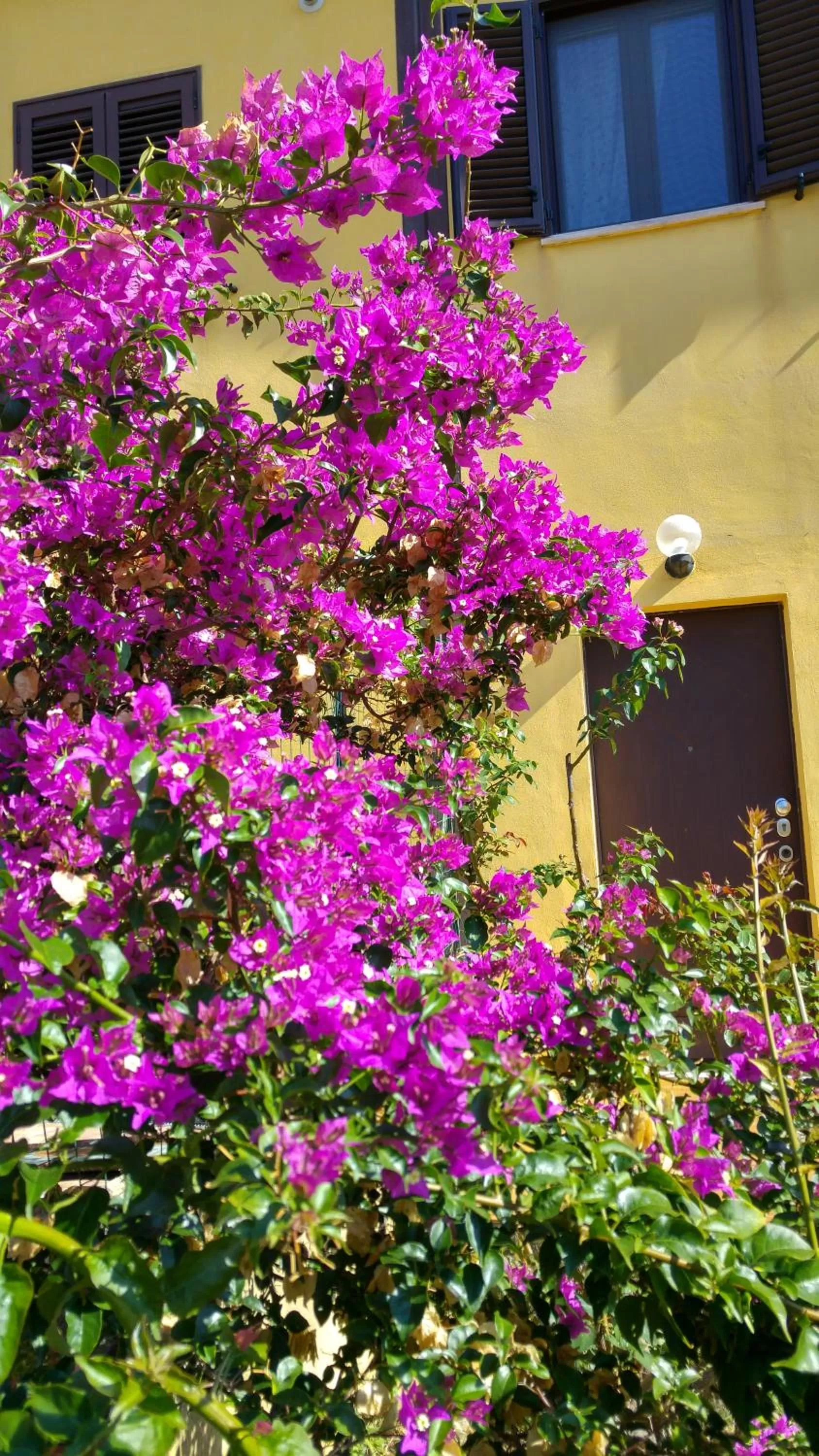 Garden in Vistazzurra B&B