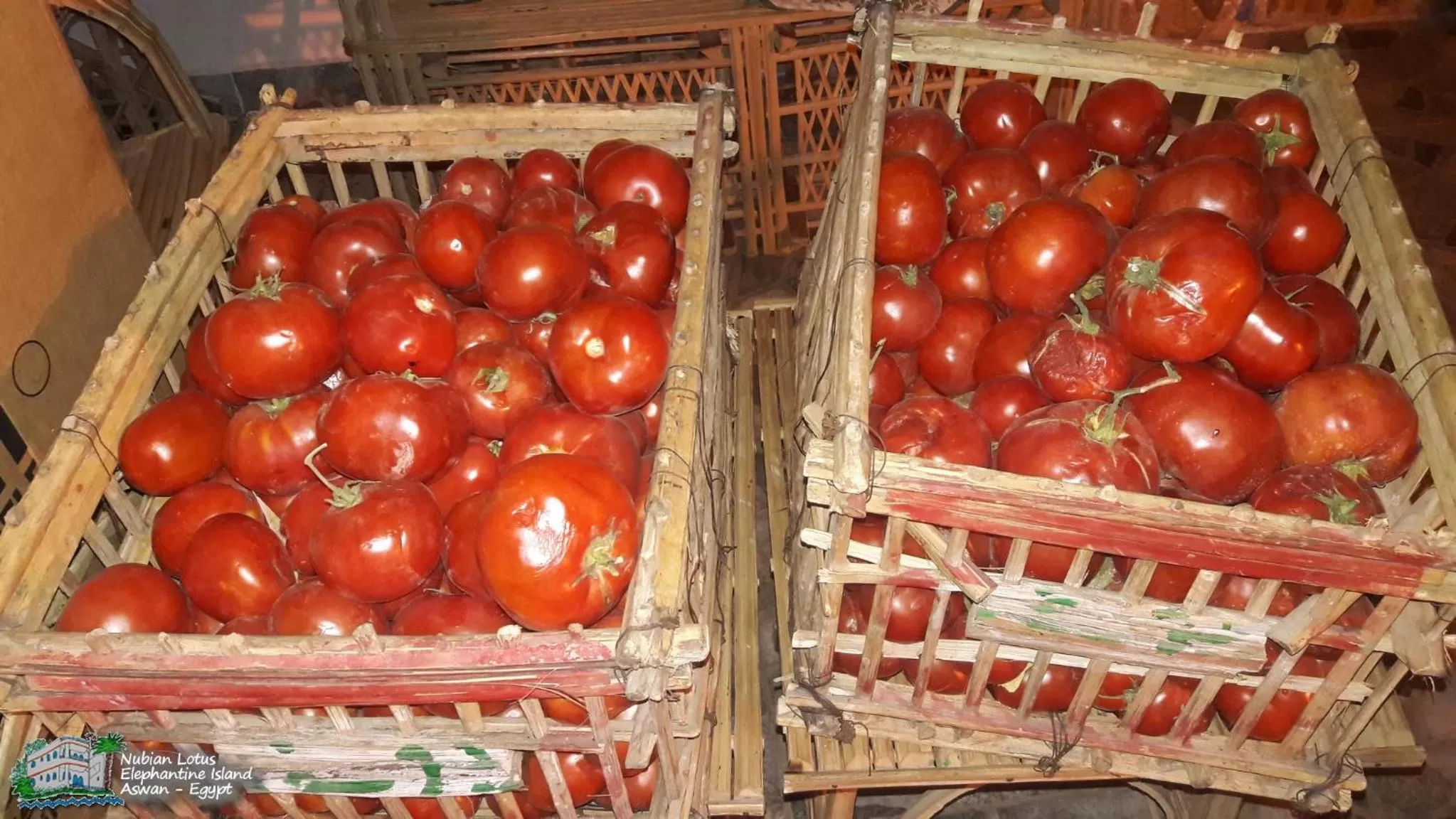 Restaurant/places to eat in Nubian Lotus