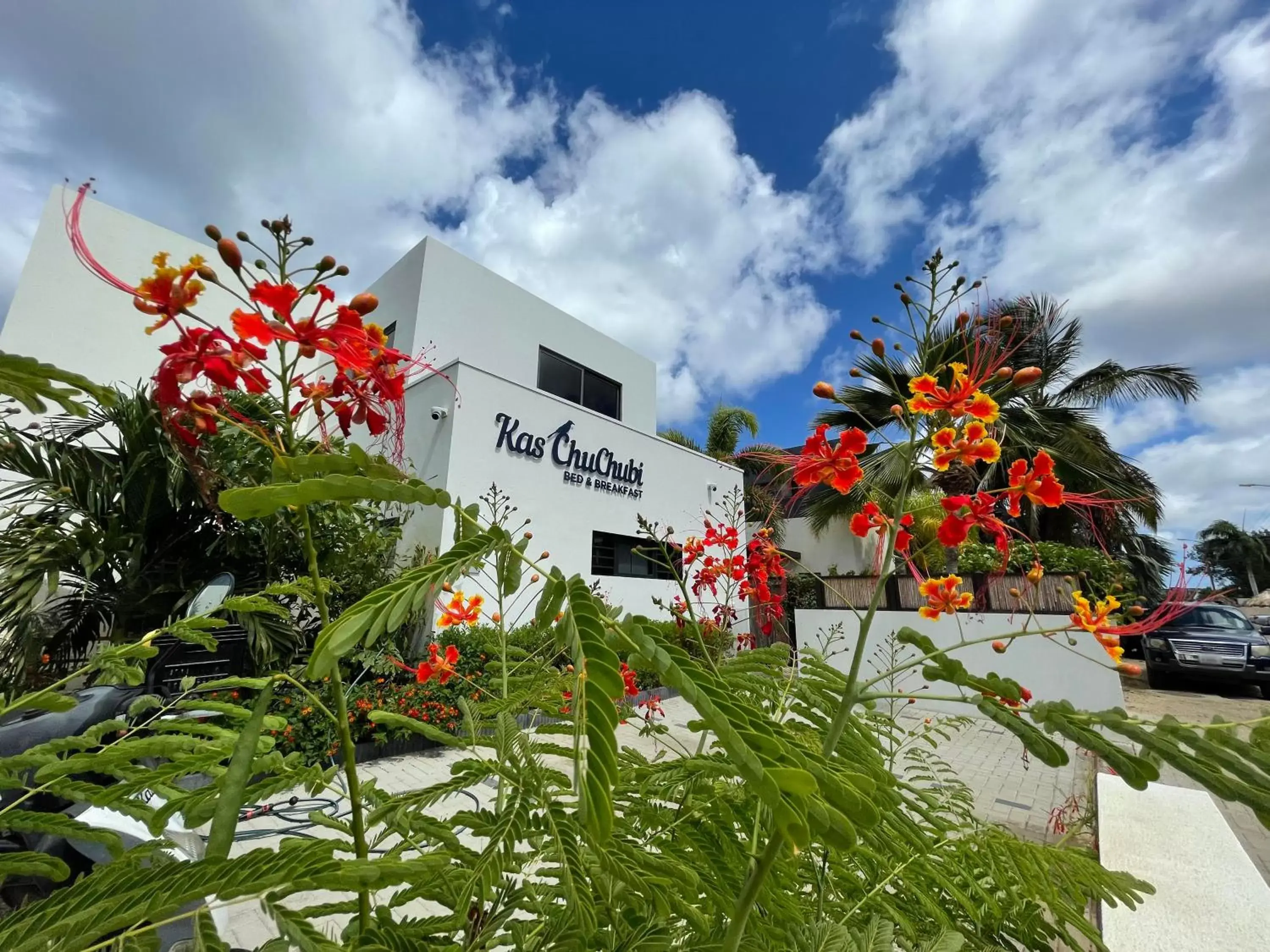 B&B Kas ChuChubi B&B Kas ChuChubi