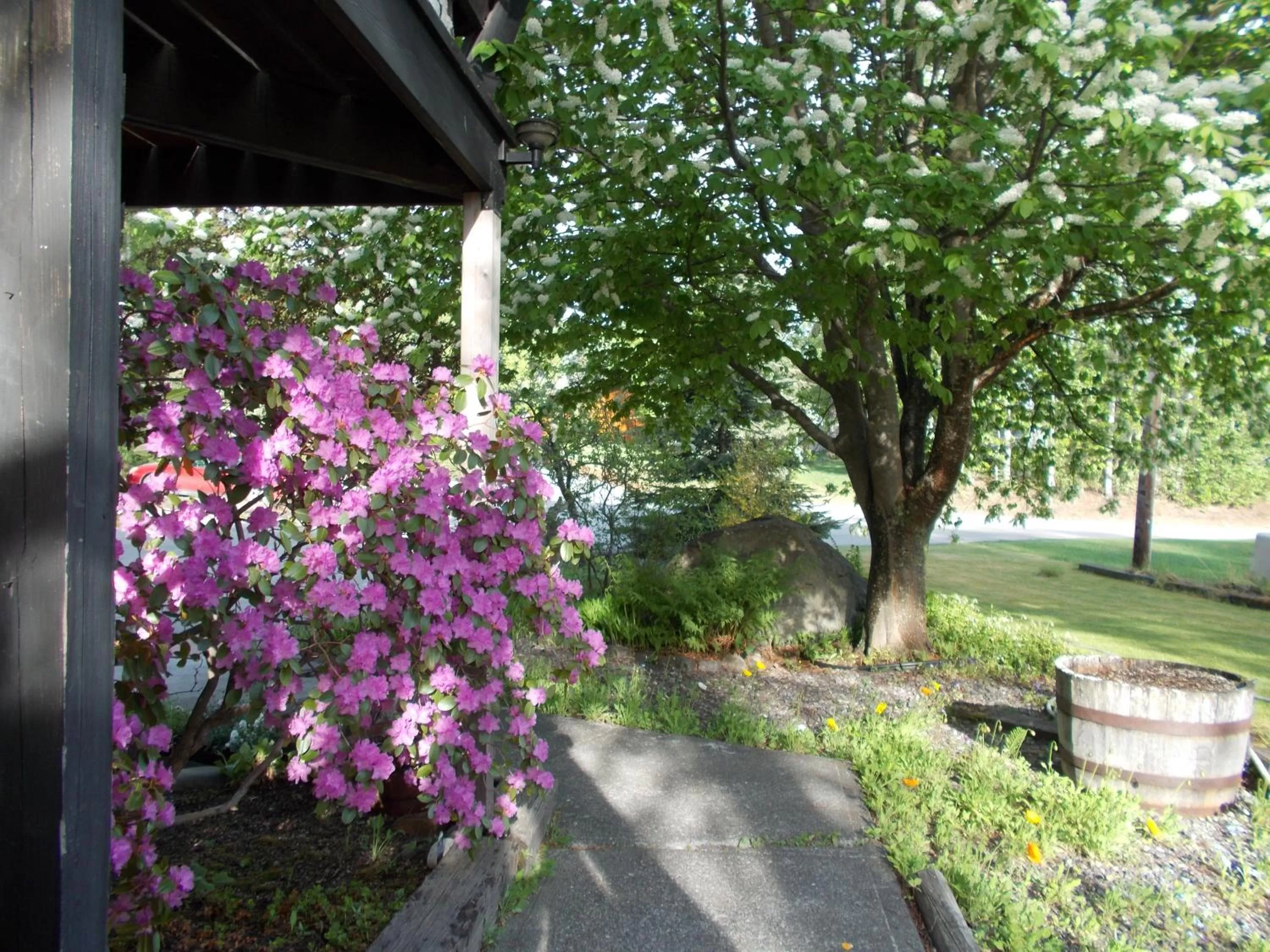 Alaska Chalet Bed & Breakfast