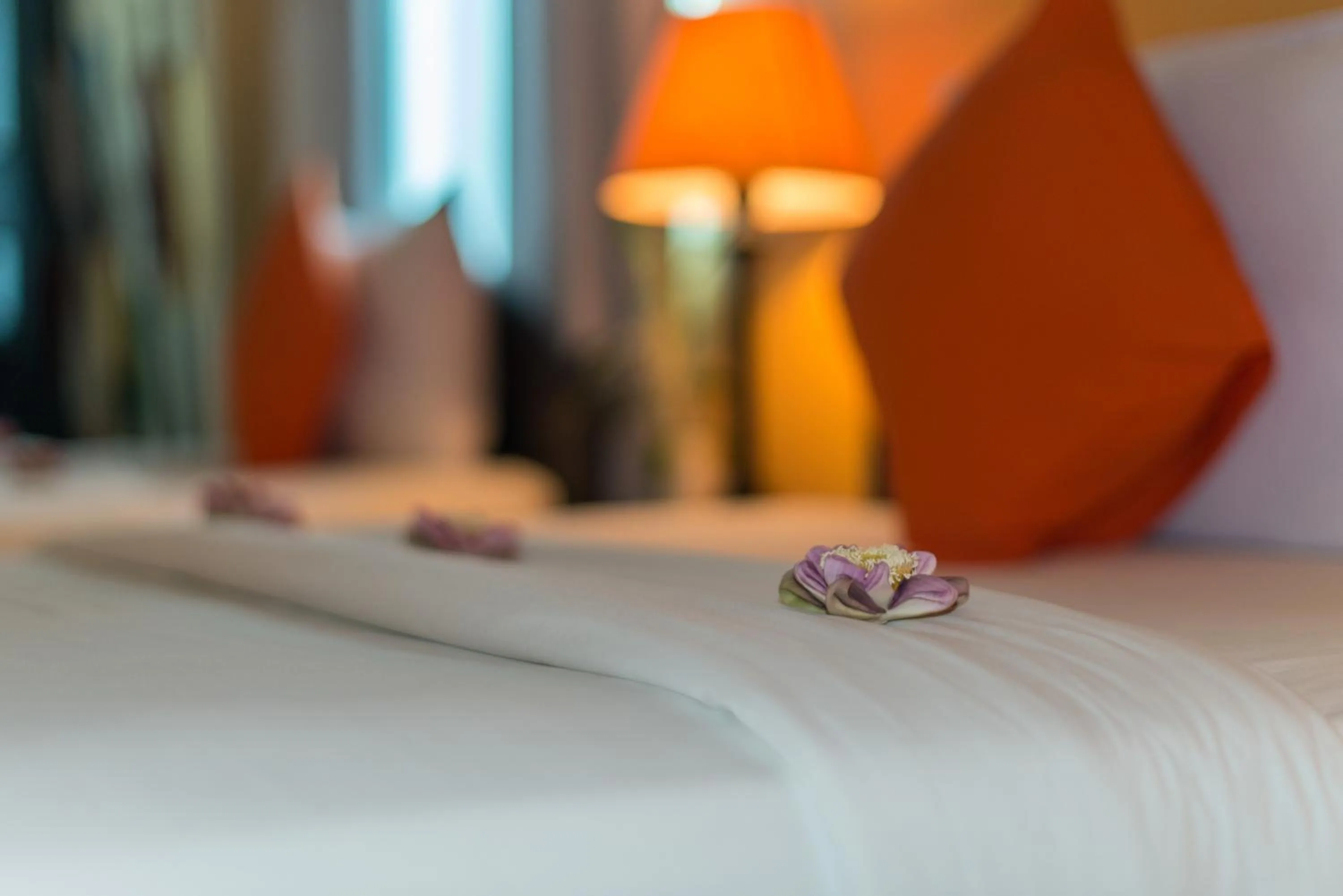 Photo of the whole room, Bed in Angkor Panoramic Boutique Hotel