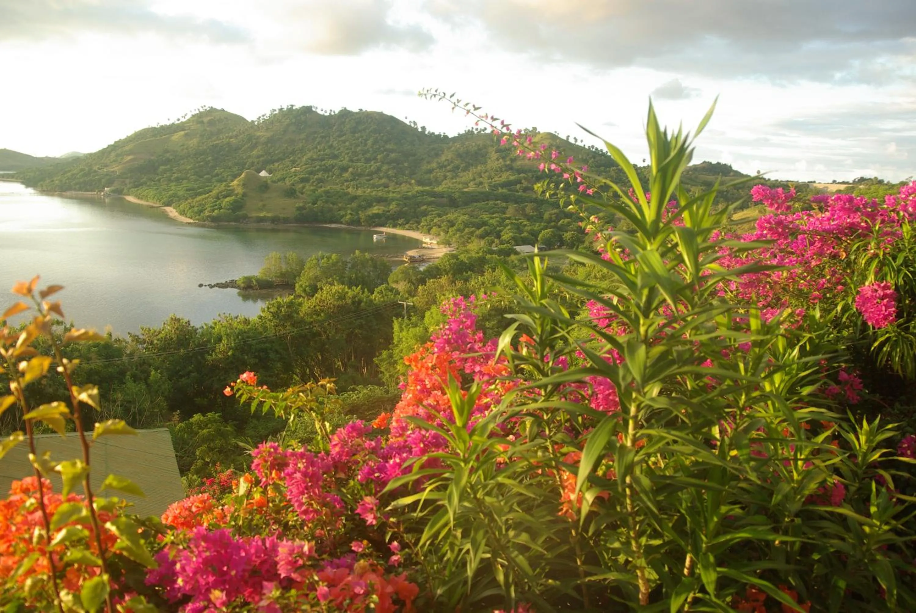 Sea view in Golo Hilltop Hotel