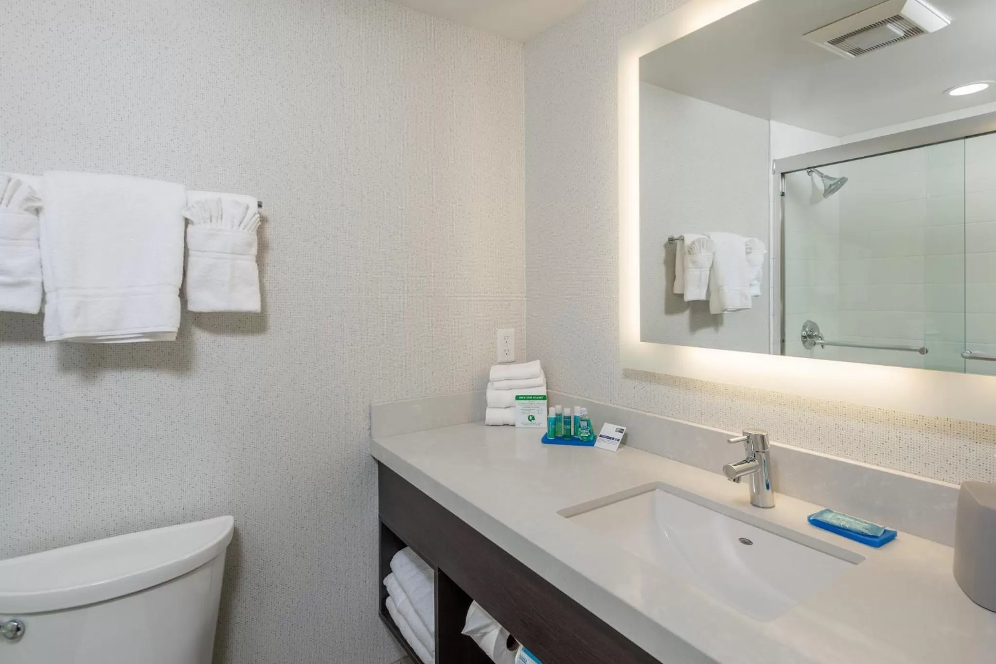 Bathroom in Holiday Inn Express - Sunnyvale - Silicon Valley by IHG