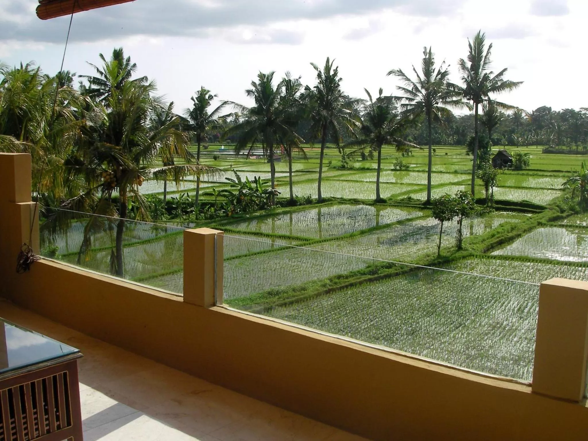 Bird's eye view in Green Field Hotel and Restaurant