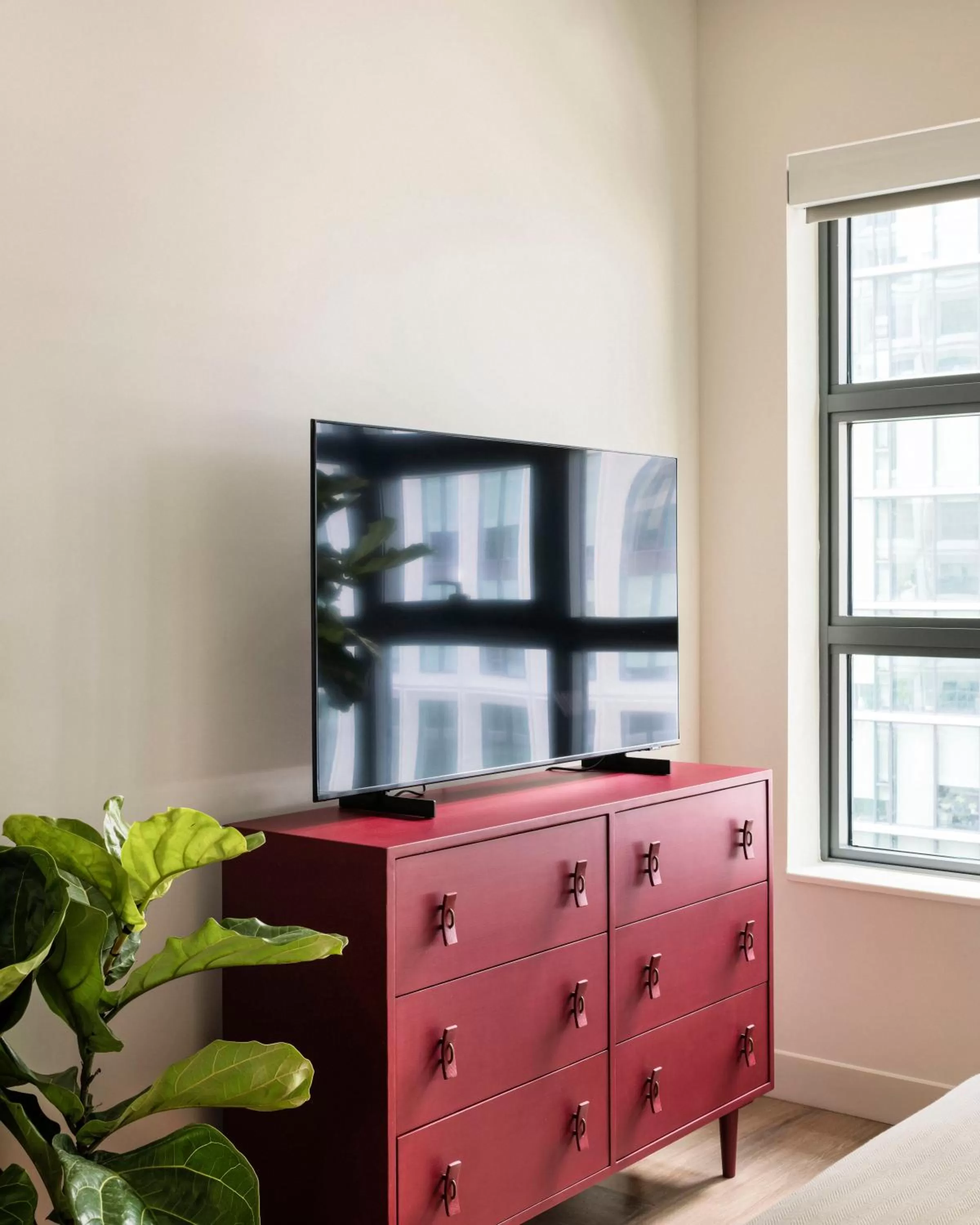 TV and multimedia in ROOST Tampa