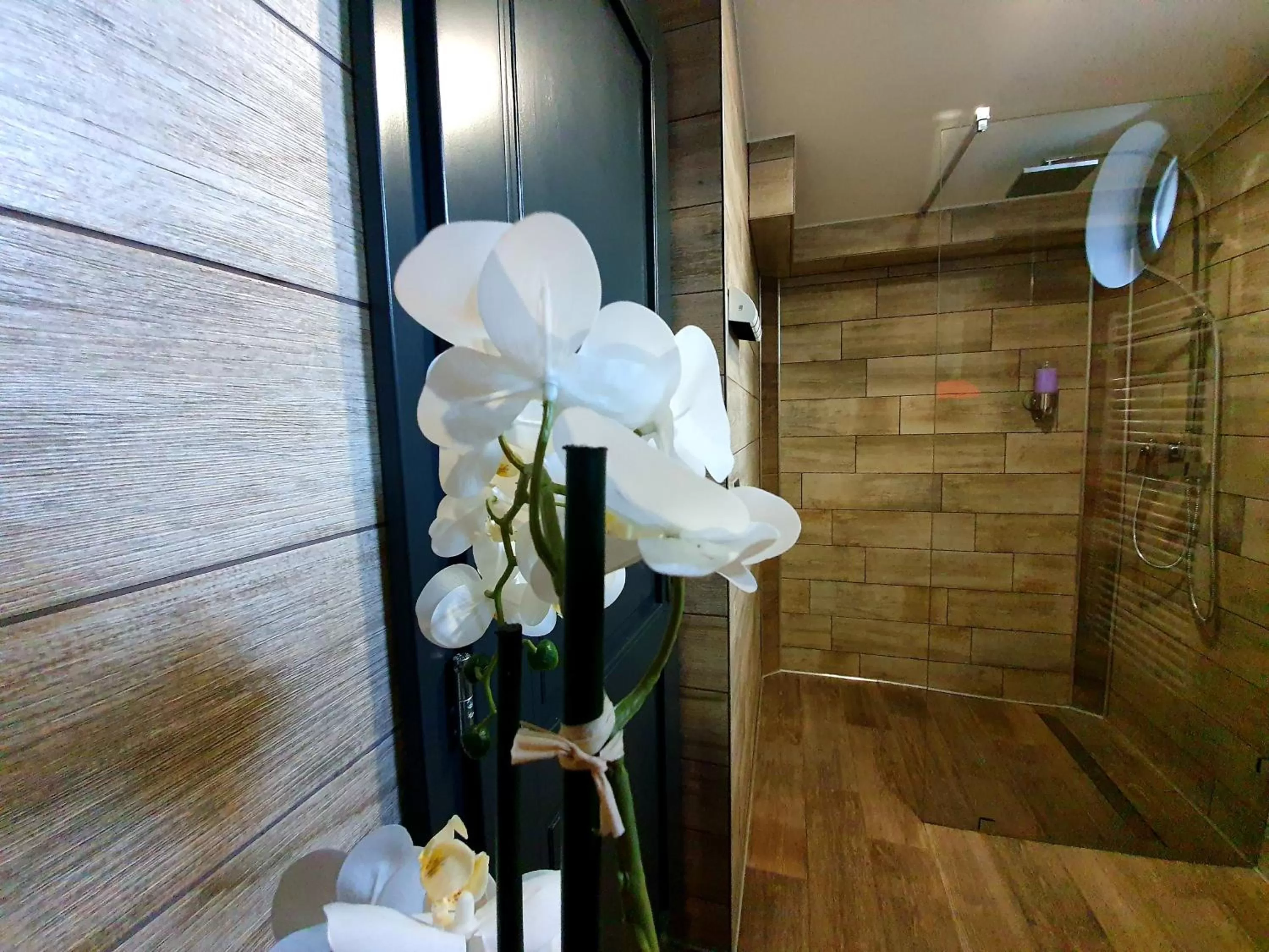 Bagoly Wellness Apartman