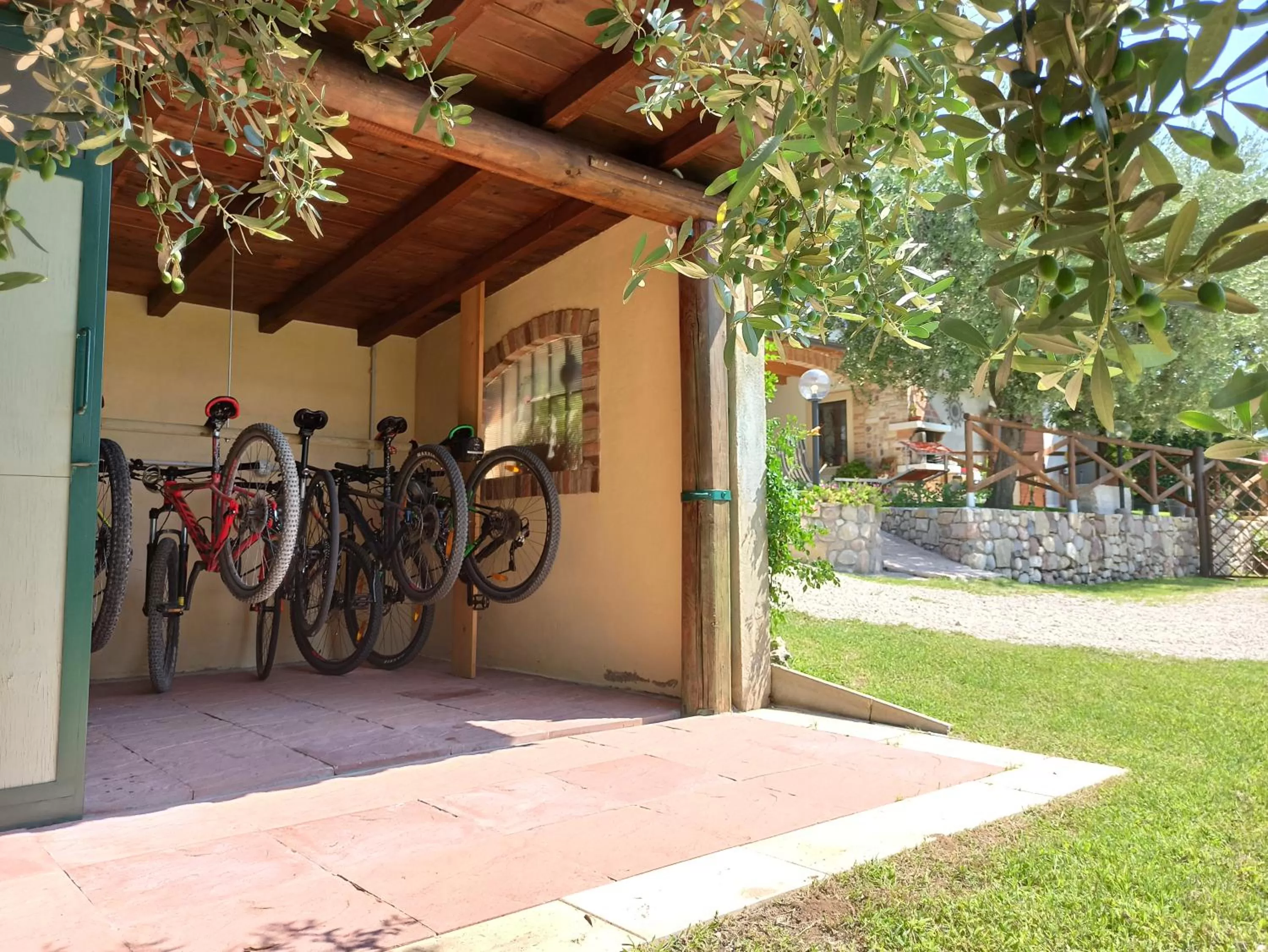 Cycling in Le Zampolle B & B