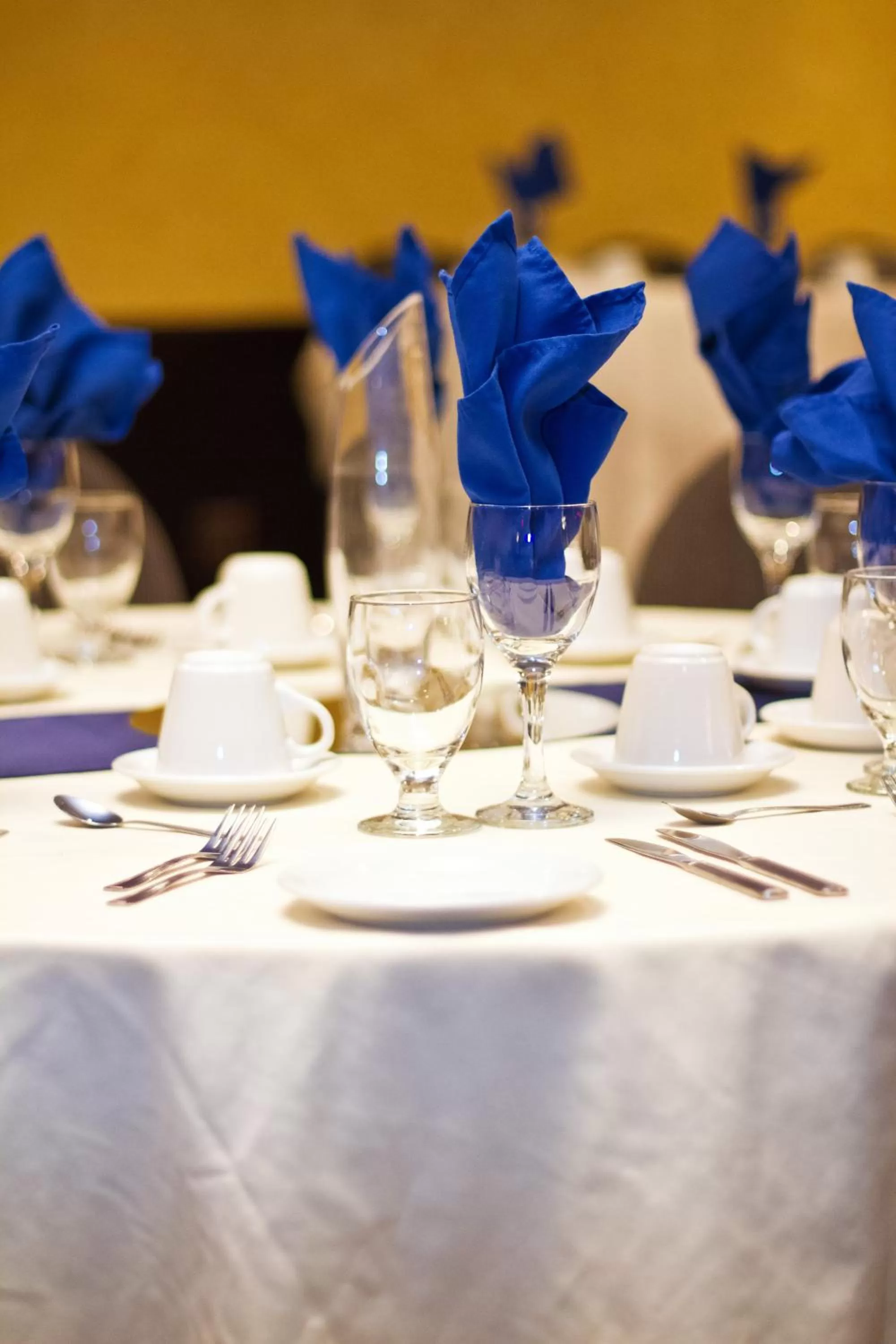 Banquet/Function facilities in Park West Inn