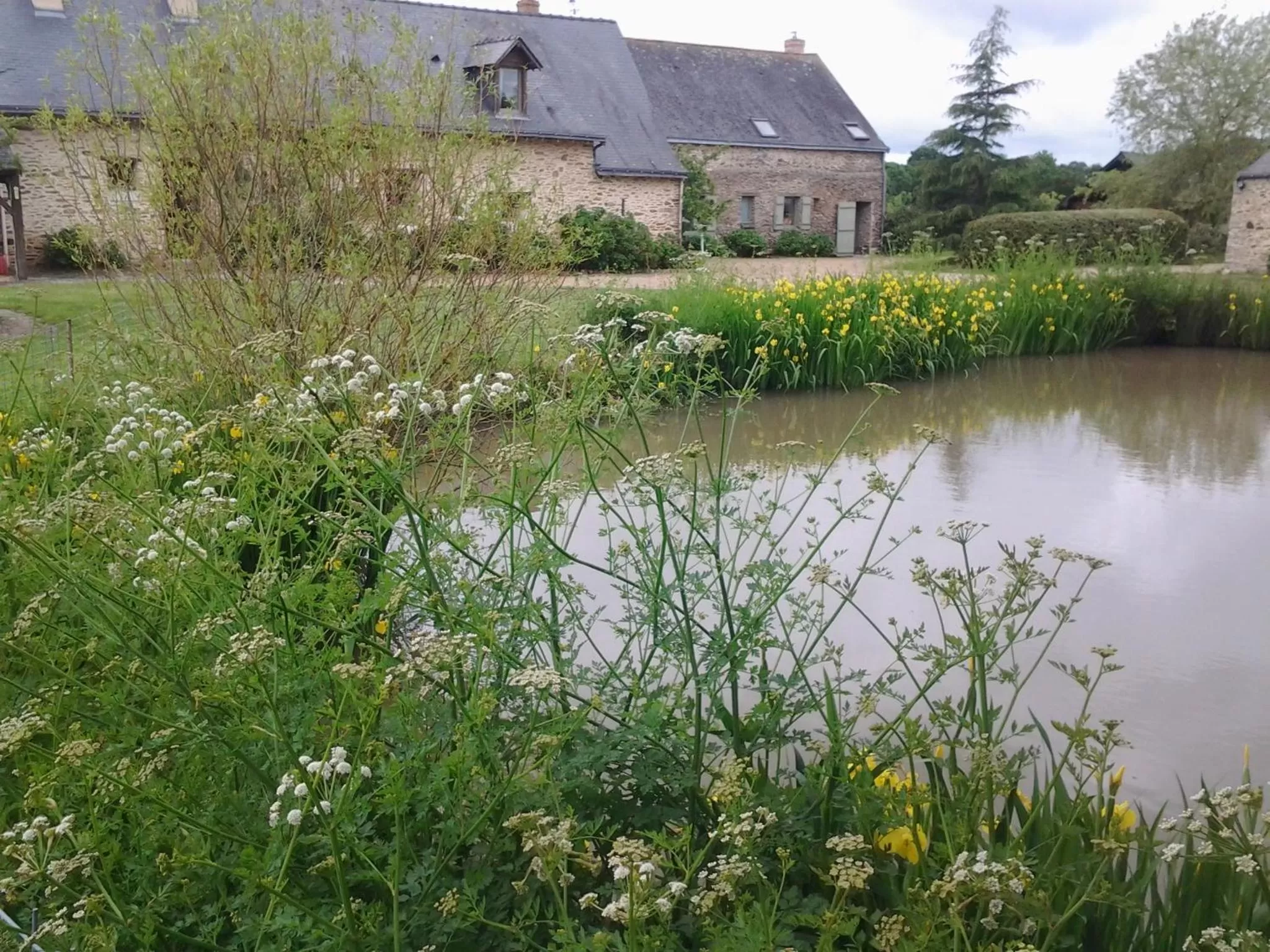 Facade/entrance in Grand Mainguet