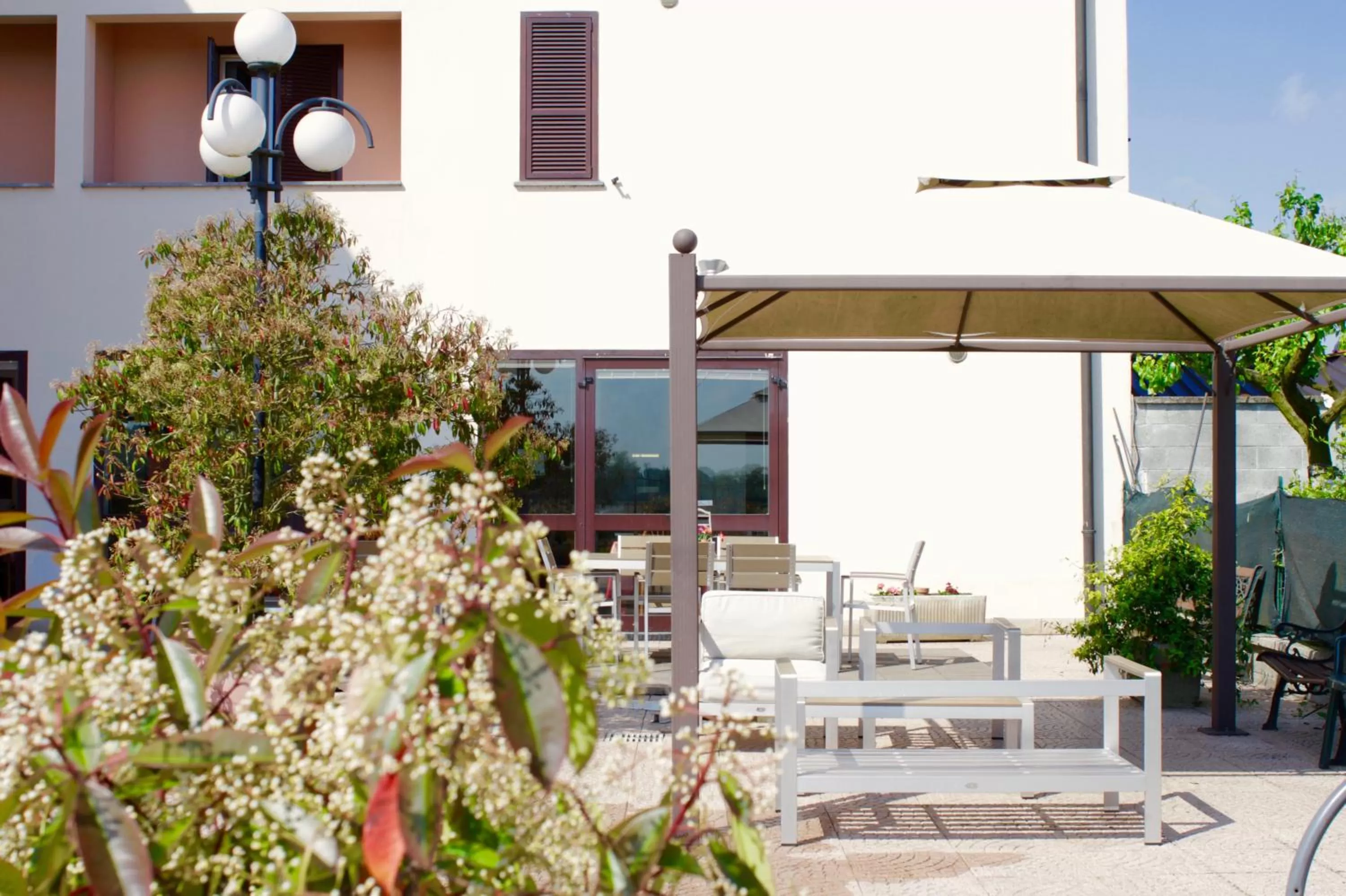 Garden in Hotel Monumento