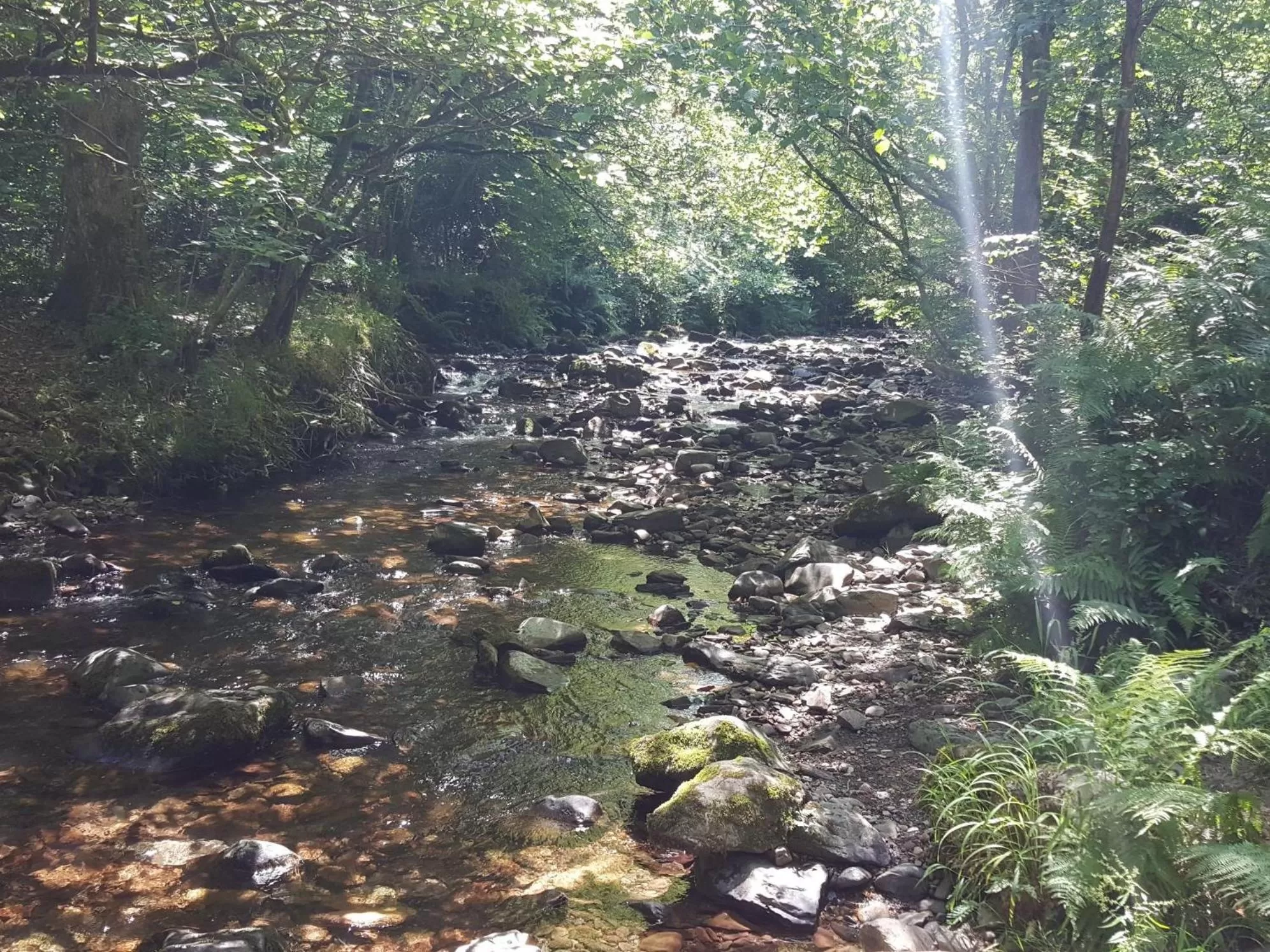 Activities in Steps Farmhouse B&B