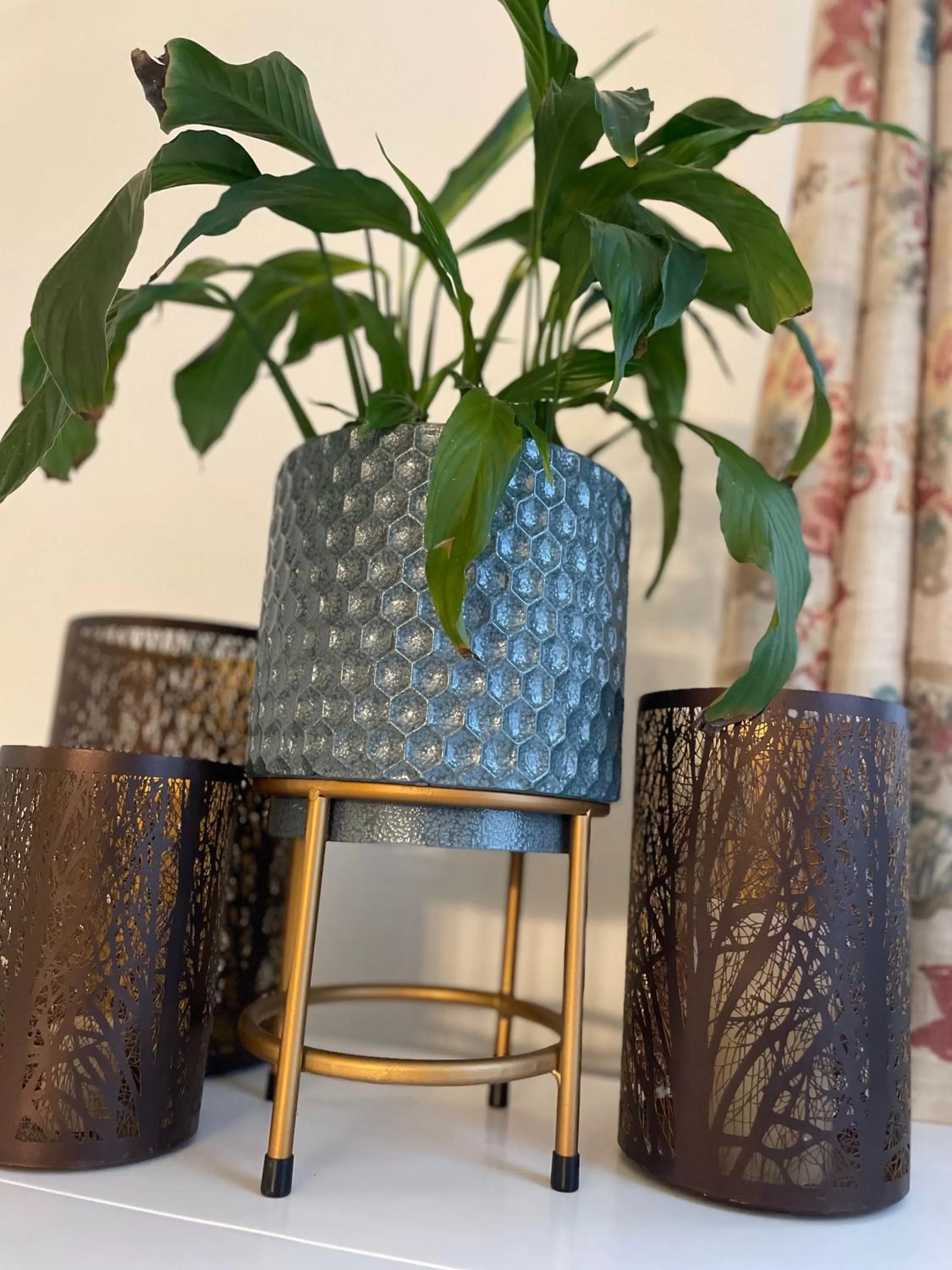 Living room in Flora House Denver