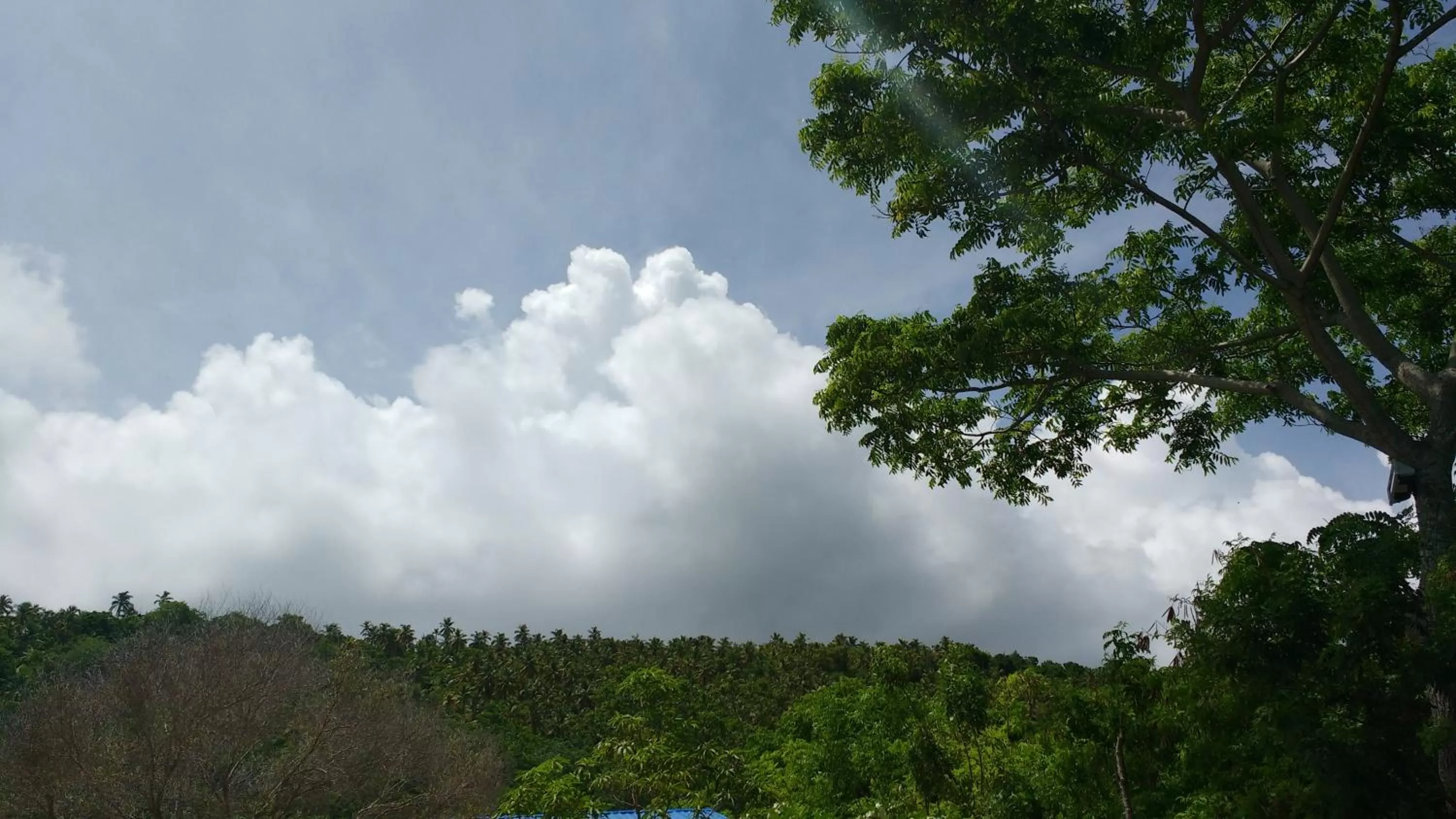 Hiking in Casa Royal Palm Inn