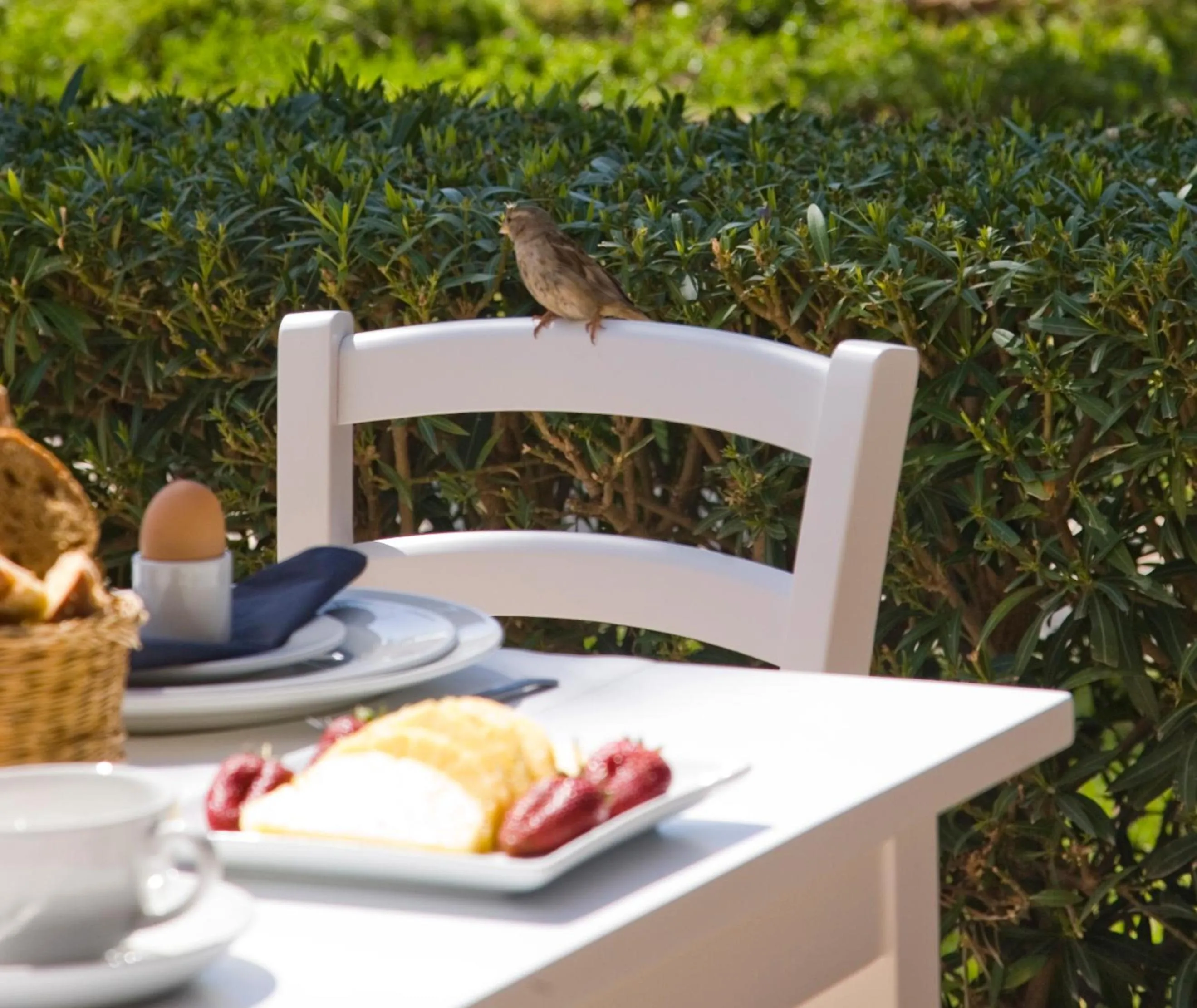 Restaurant/places to eat in Sandy Beach Hotel & Spa - ex Sentido