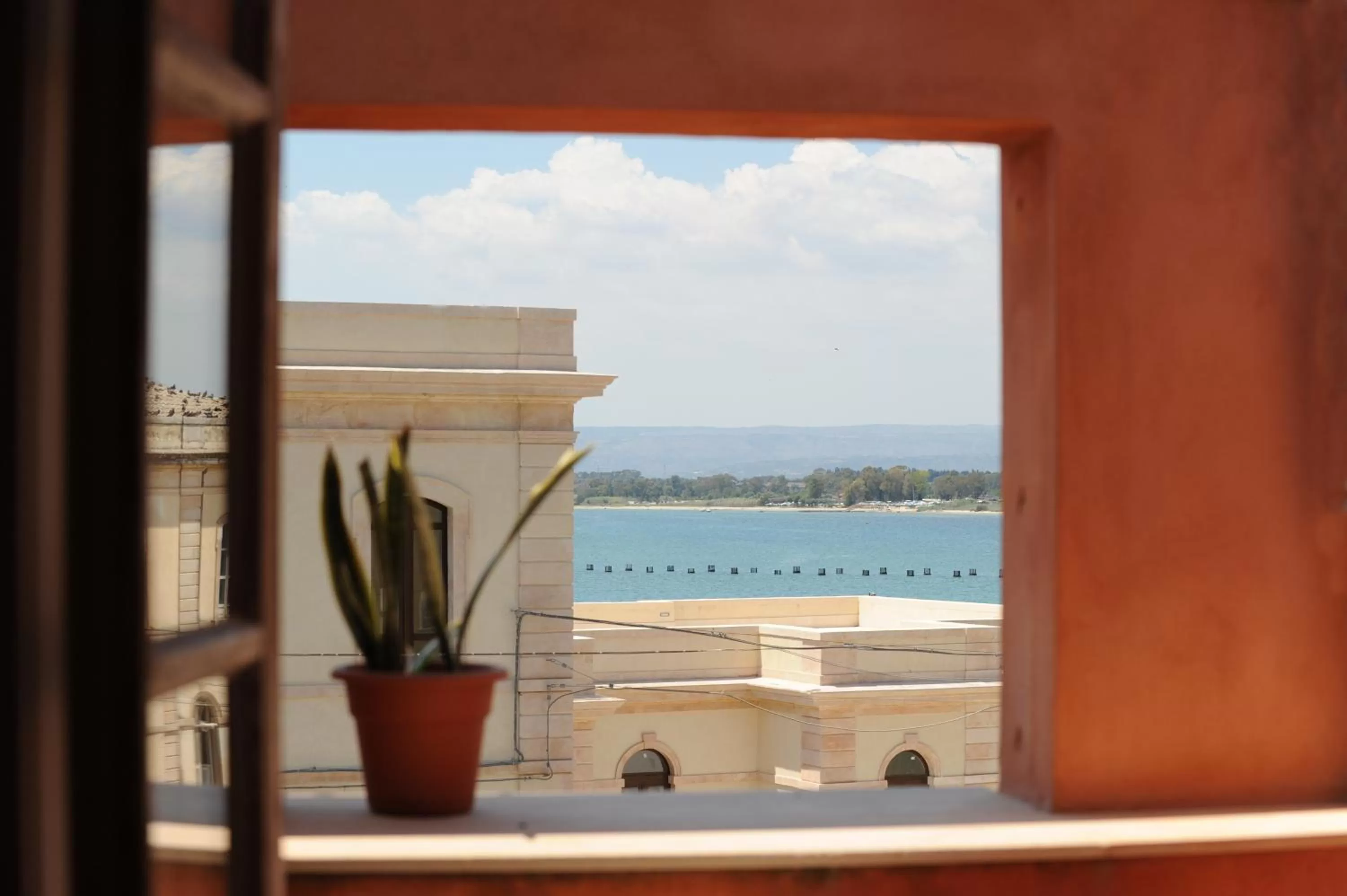 Neighbourhood in Hotel Mediterraneo