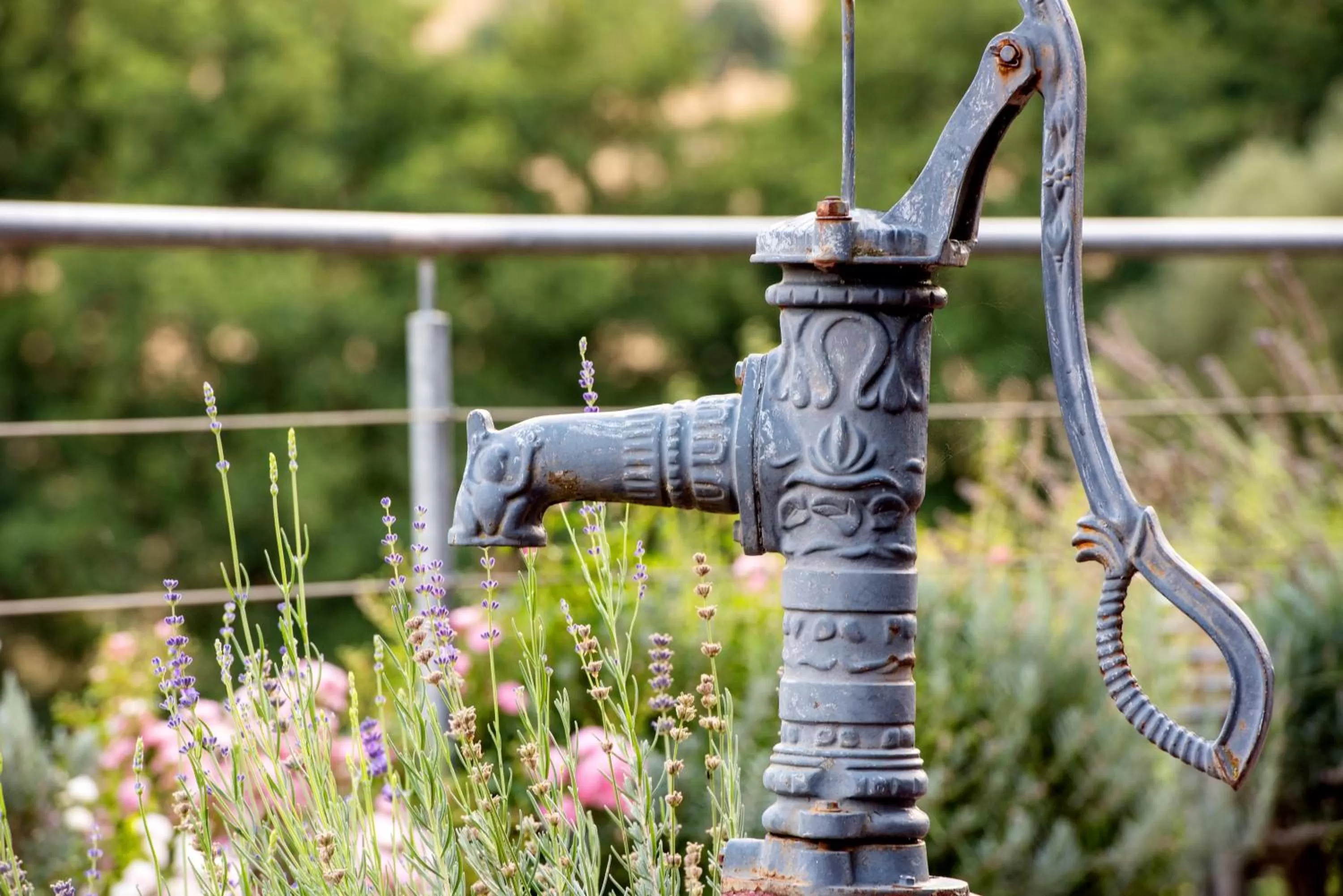 Natural landscape in Landhotel Lortz