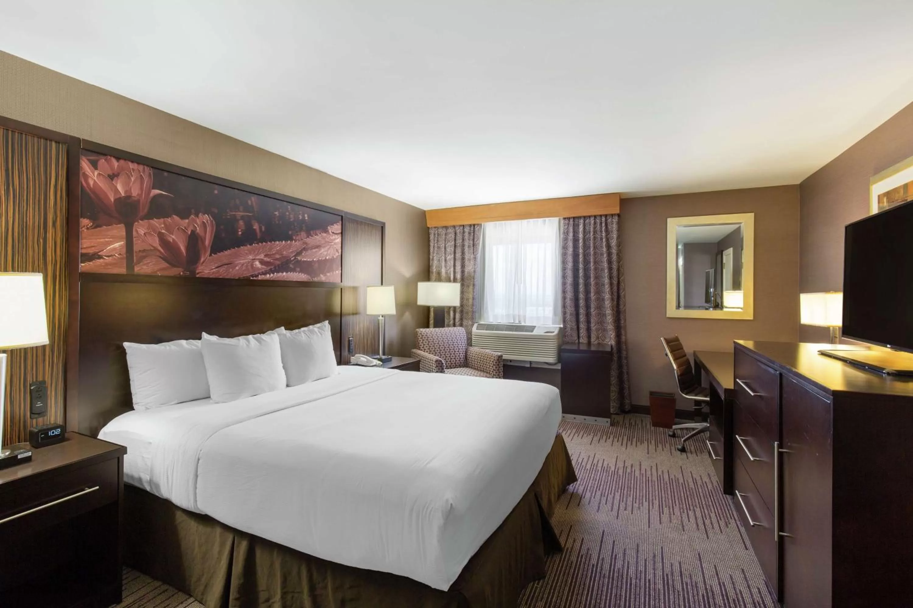 Deluxe King Room with Panoramic City View - Mobility Accessible Tub in DoubleTree by Hilton Downtown Wilmington - Legal District