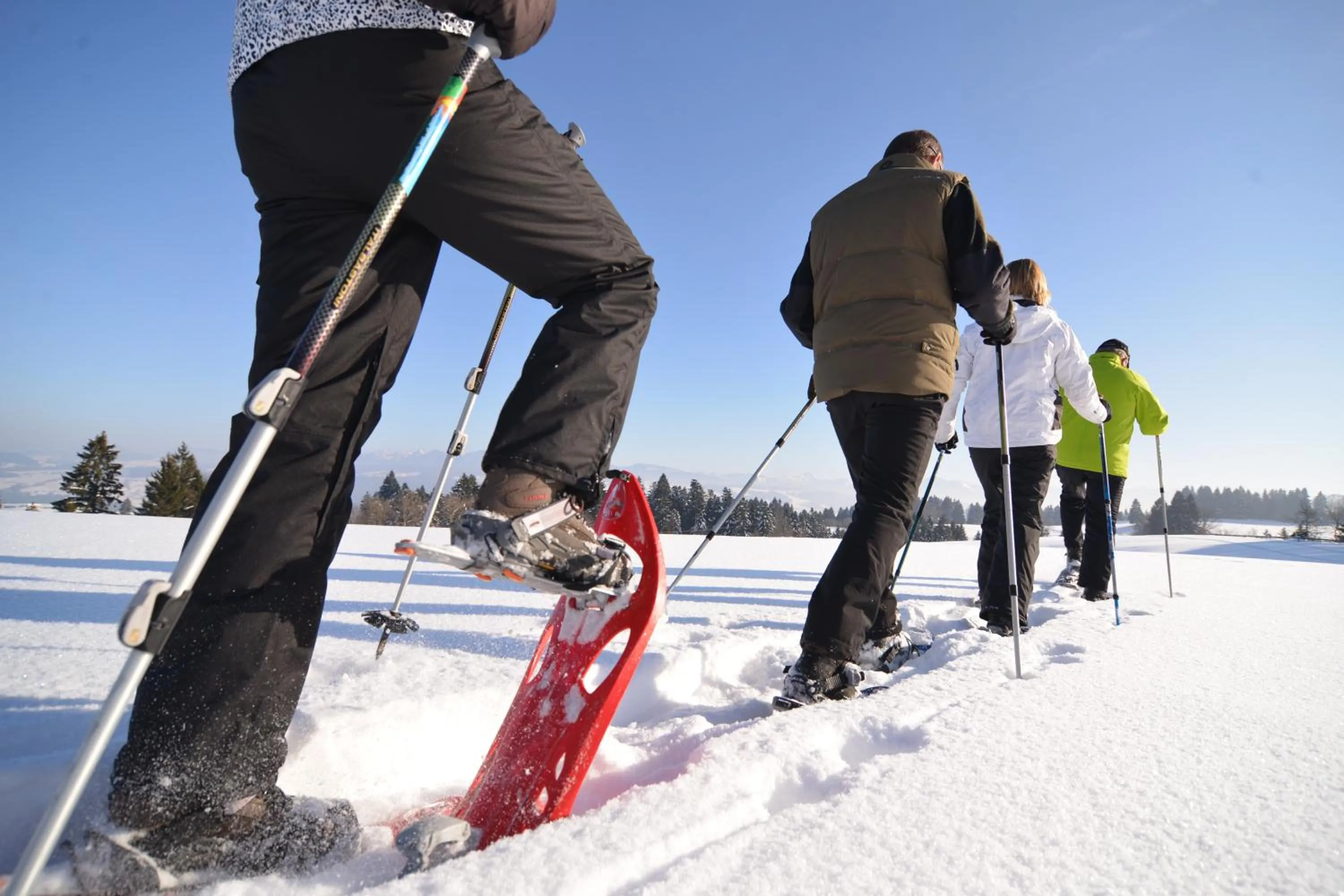 Winter in Hotel Edita