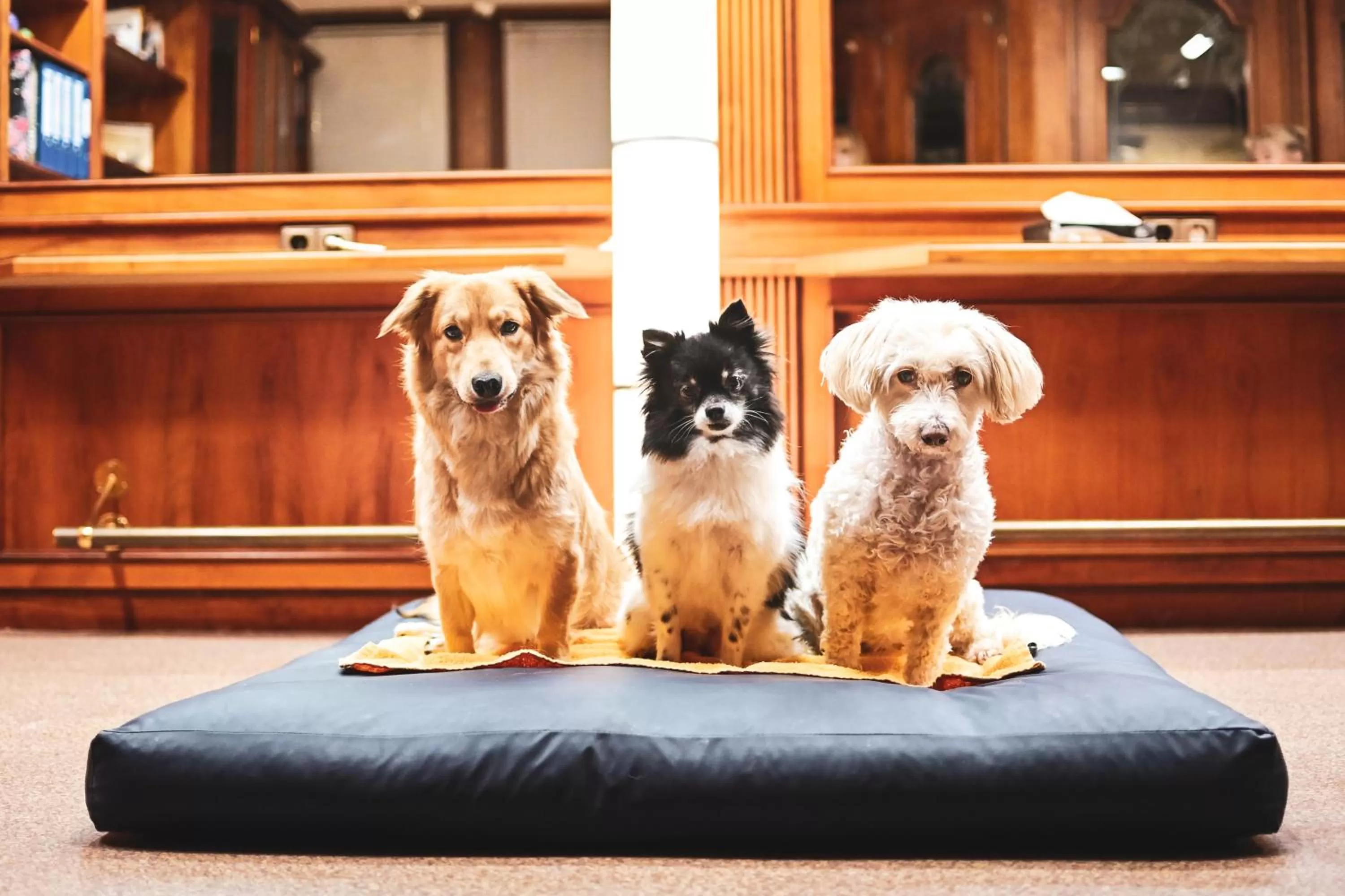 Massage in Berghotel Steiger - Erzgebirge