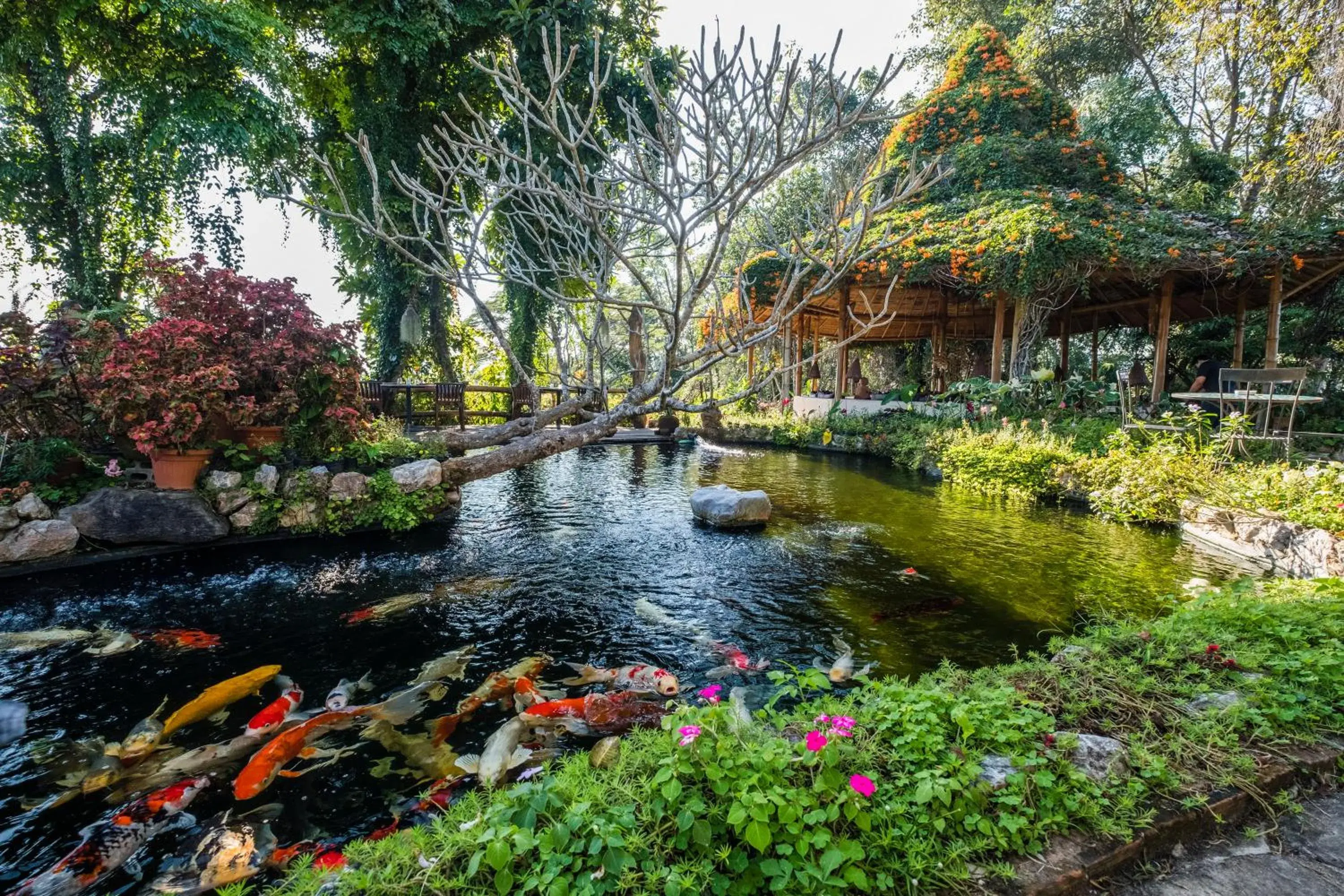 Phu Chaisai Chiang Rai Mountain Resort Phu Chaisai Chiang Rai Mountain Resort