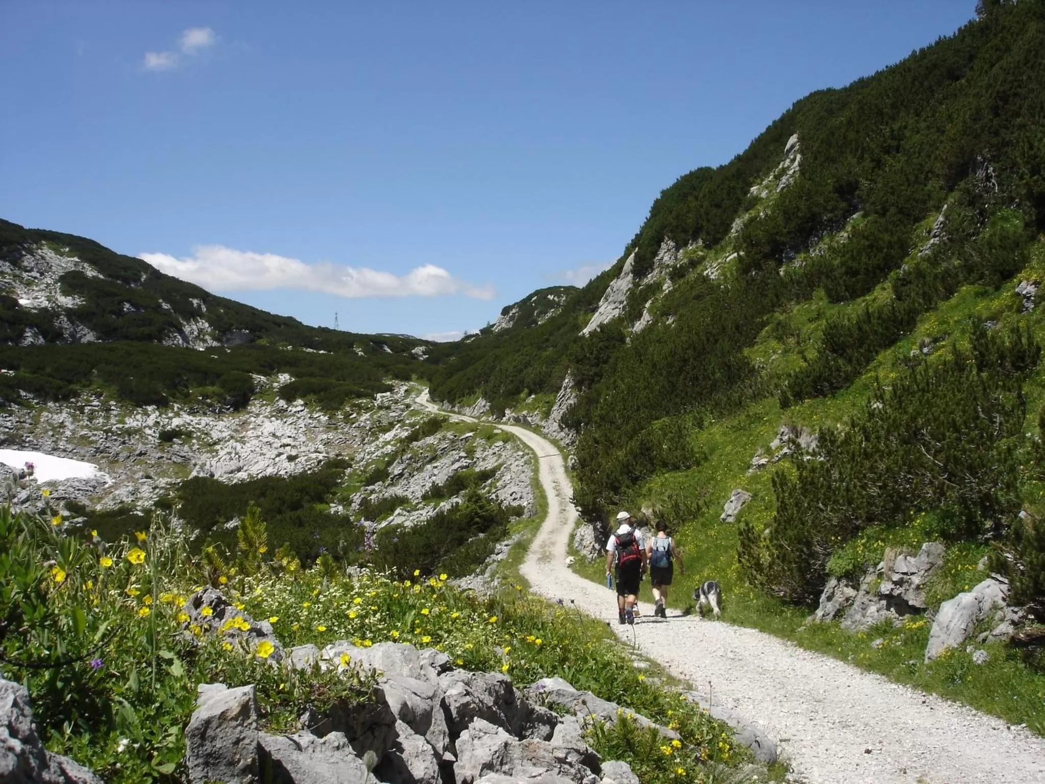 Cycling in Wohlfühlhotel Goiserer Mühle