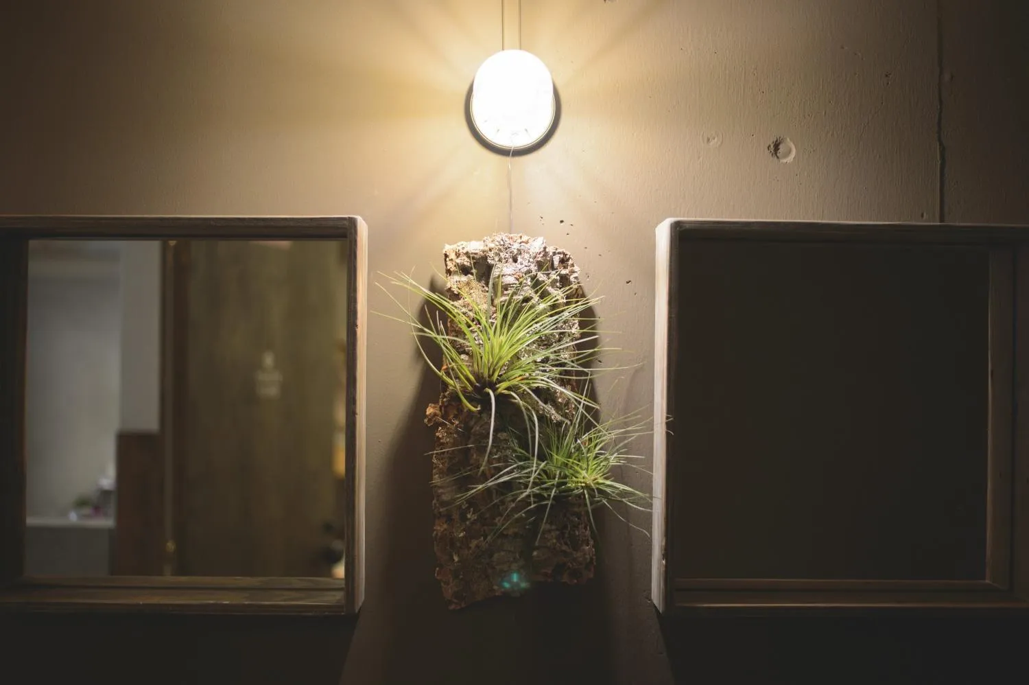 Area and facilities in Hostel Niniroom