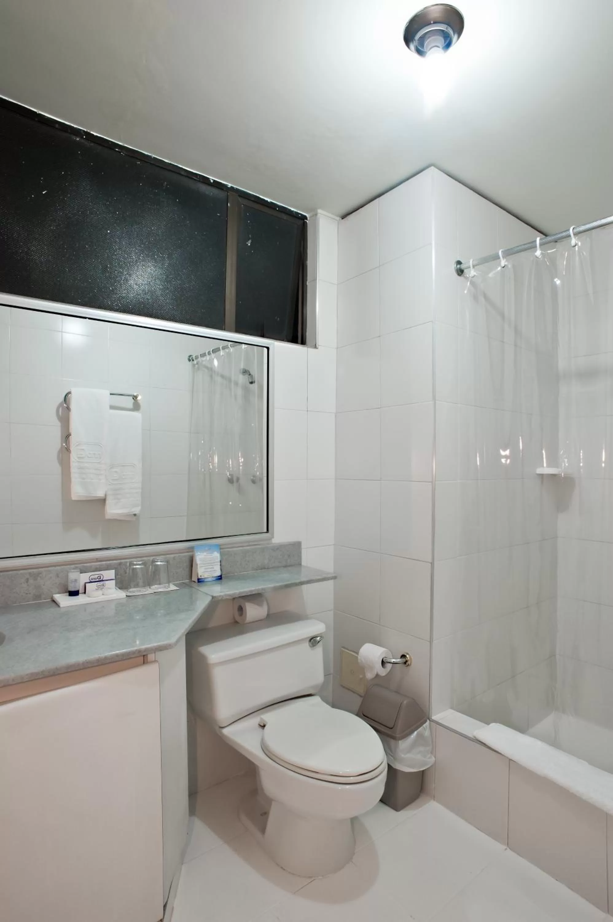 Bathroom in Hotel Dann Combeima