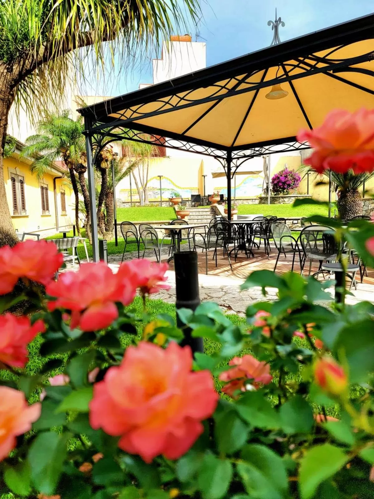 Garden in Hotel Garibaldi