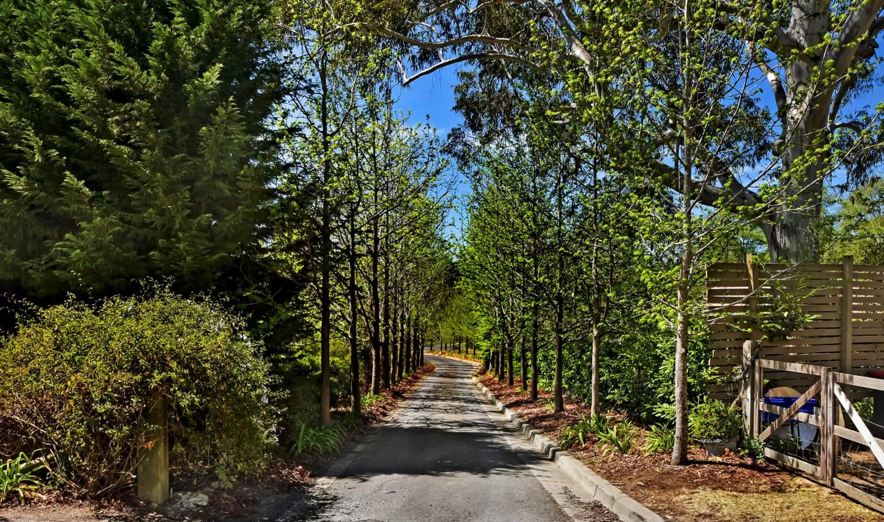 Garden in Bundanoon Lodge