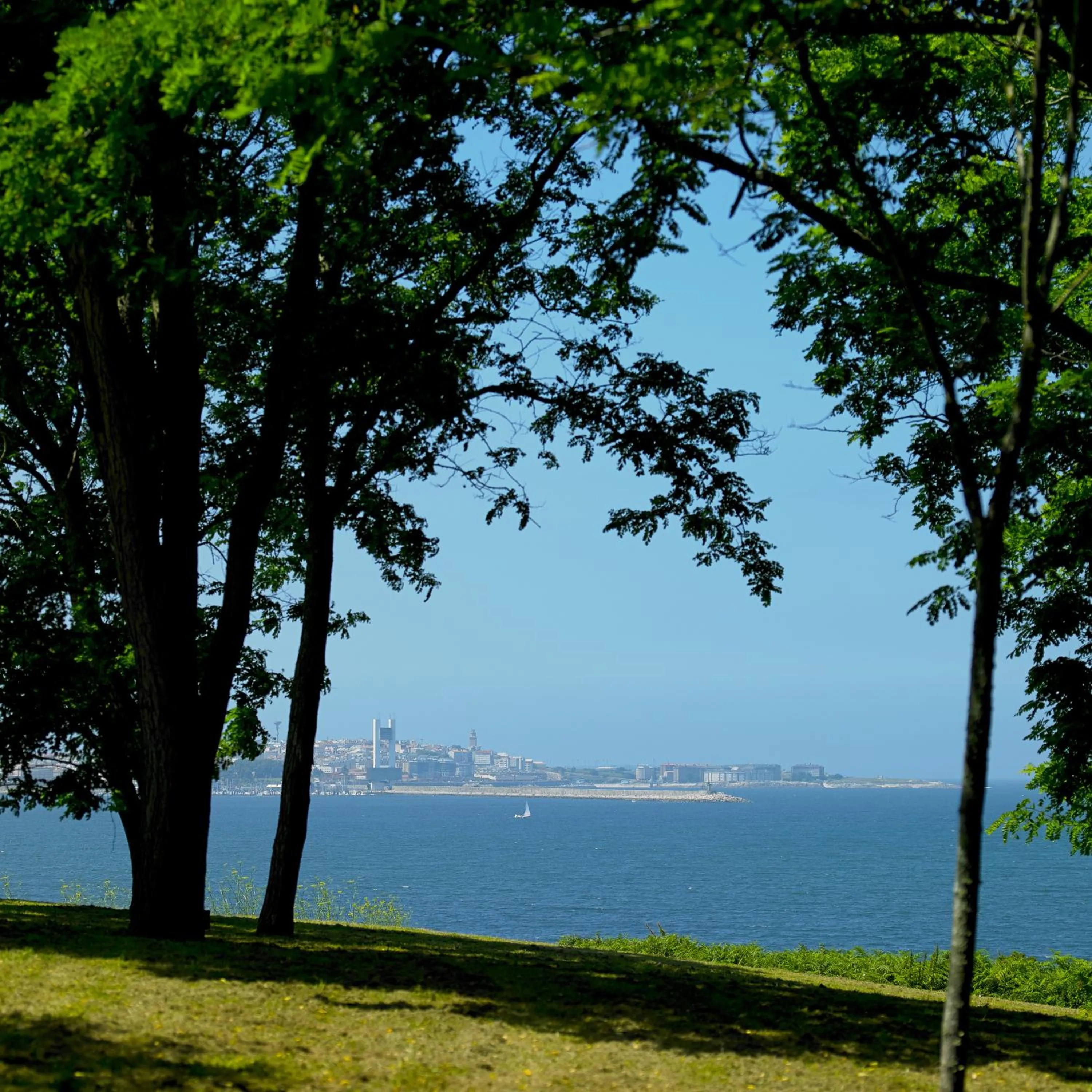 Area and facilities in Aparthotel Attica21 As Galeras