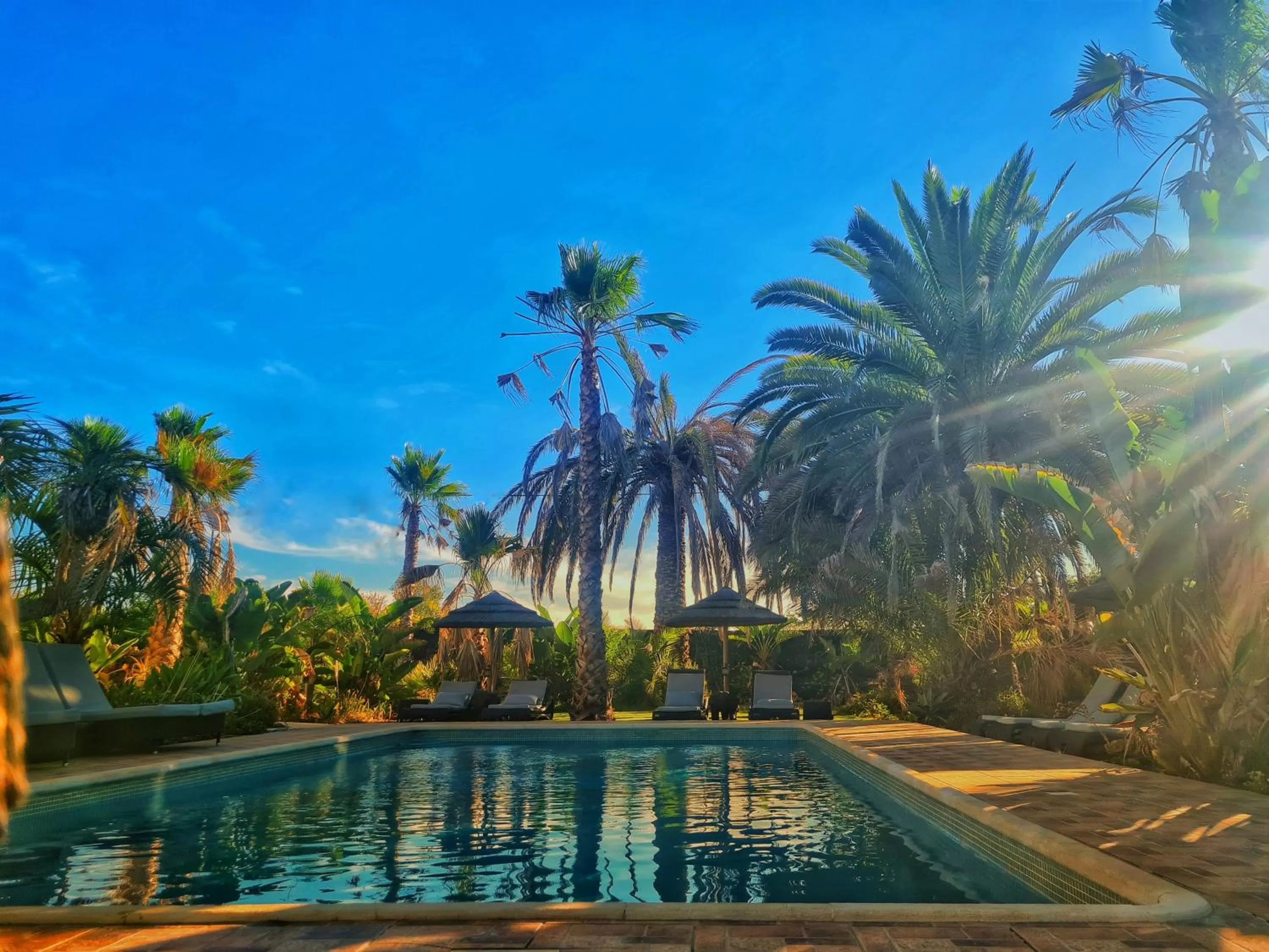 Swimming Pool in Villa Paraiso - Naturism Optional Adults Only