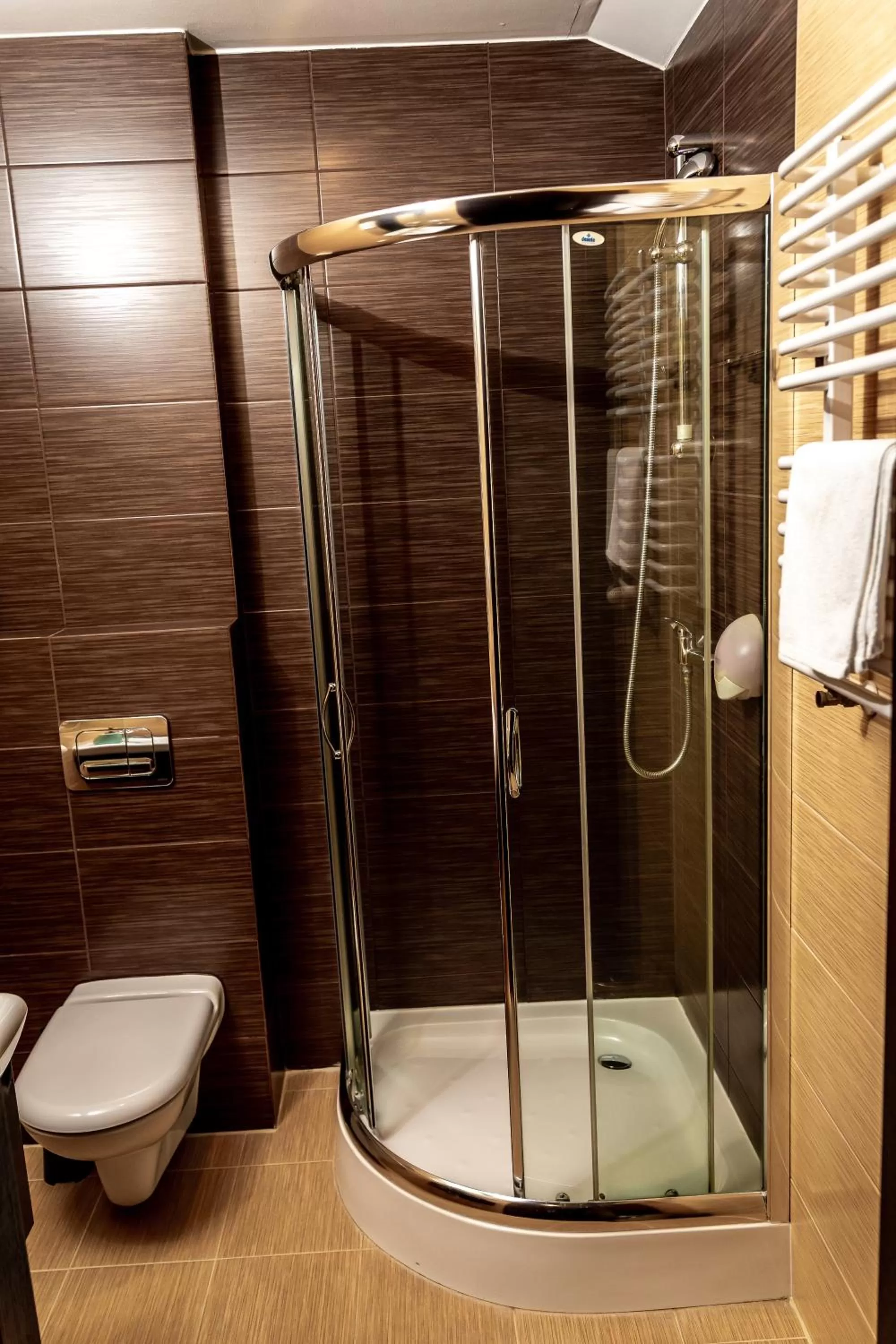 Shower, Bathroom in Dworek