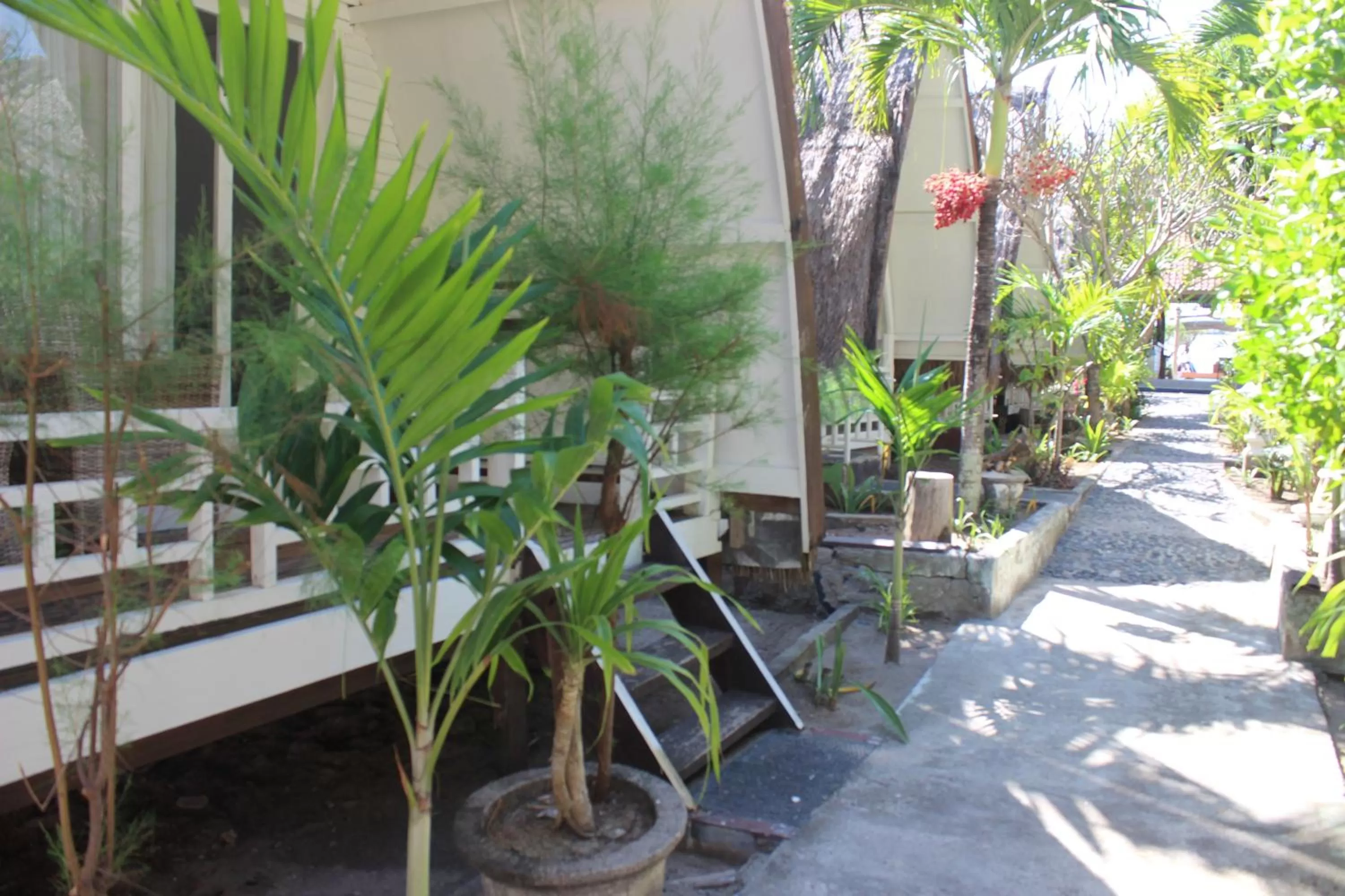 Street view in Coral Beach Seaside